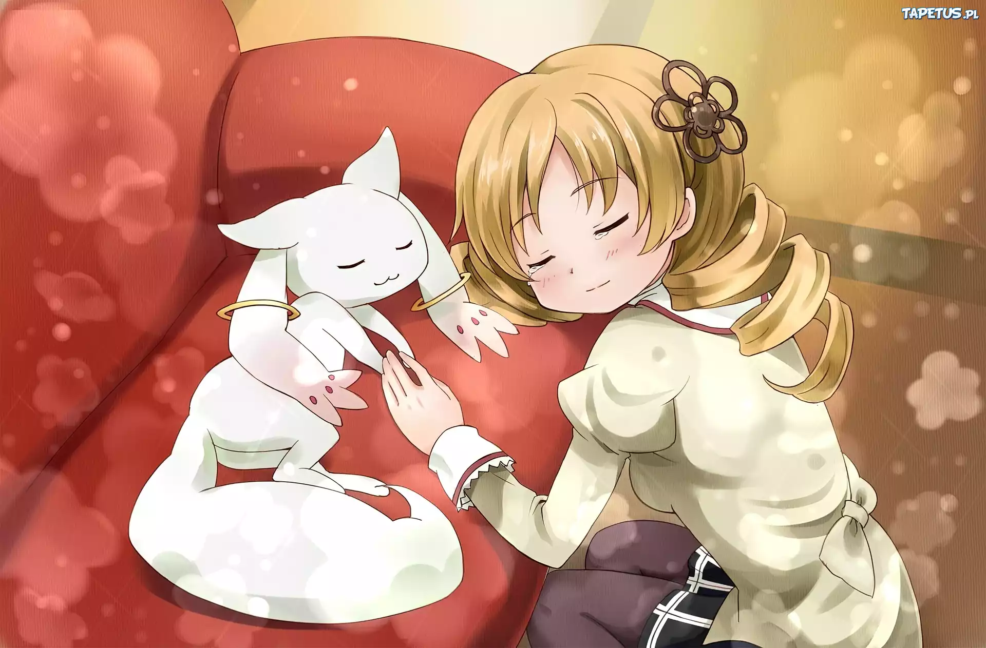 Mahou Shoujo Madoka Magica, Dziewczyna, Lok