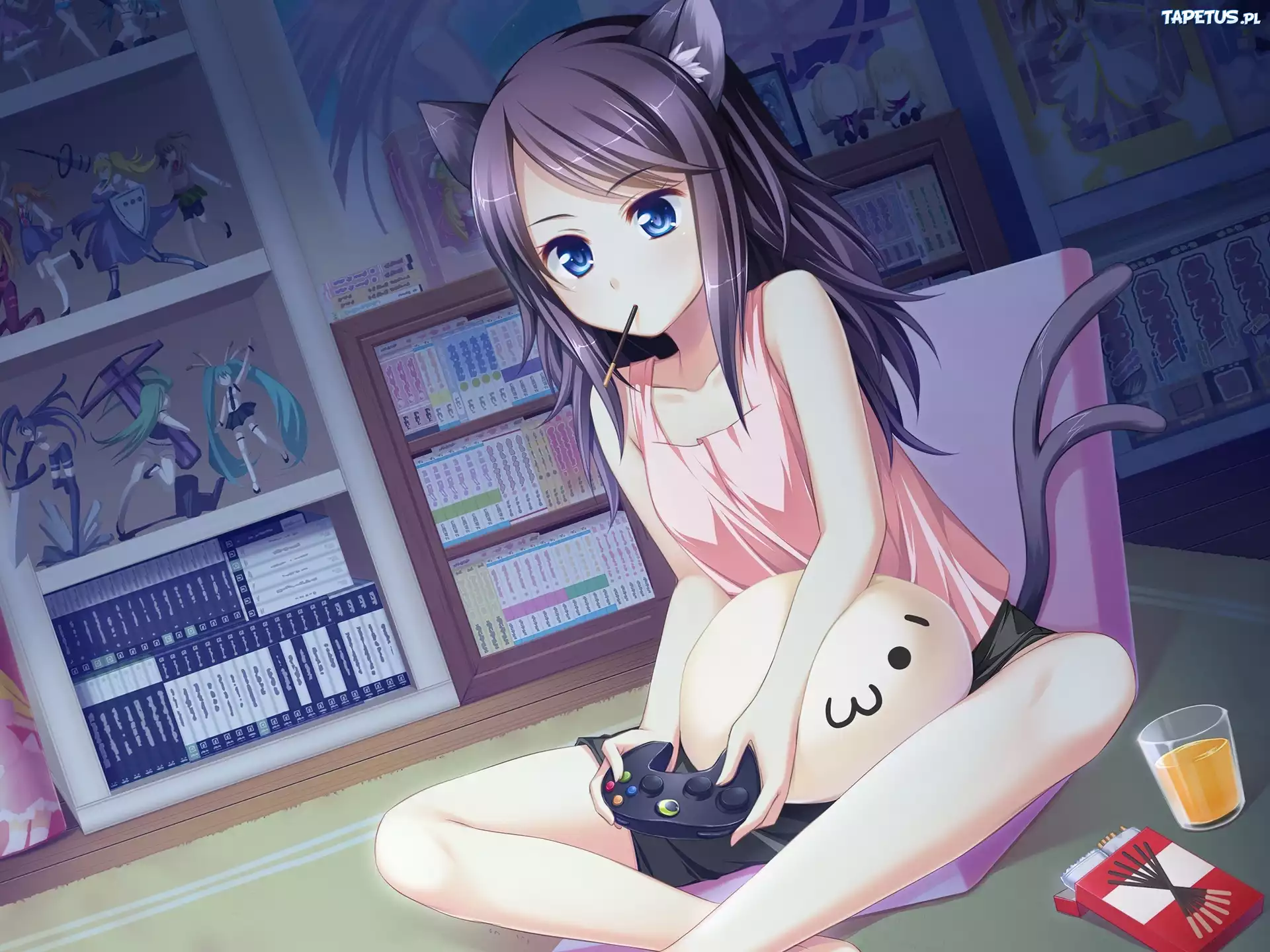 Dziewczyna, Anime, Manga, Otaku, Figurki