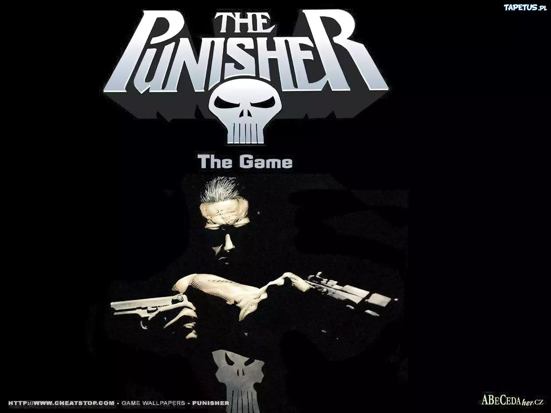 mężczyzna, broń, twarz, The Punisher