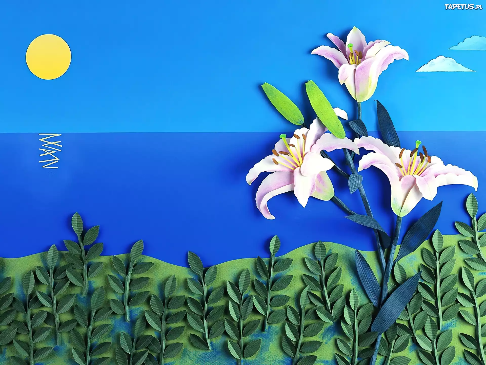 Krajobraz, Słońce, Lilie, Papier Art