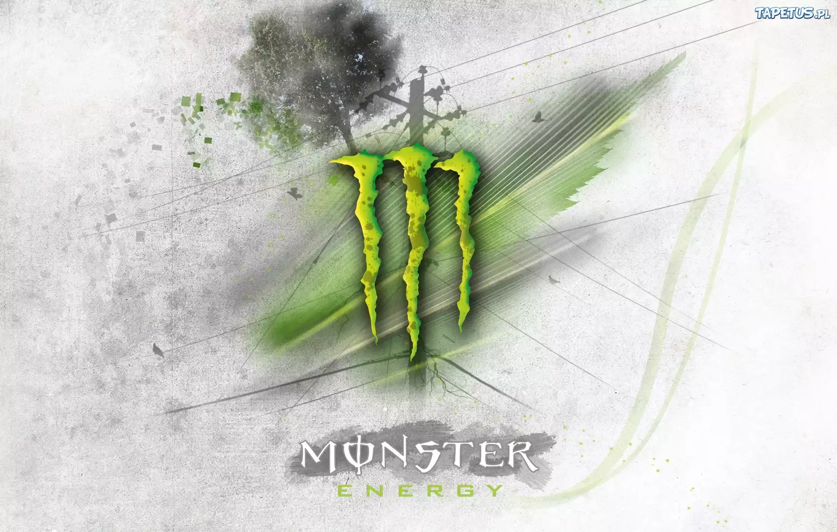 Monster Energy