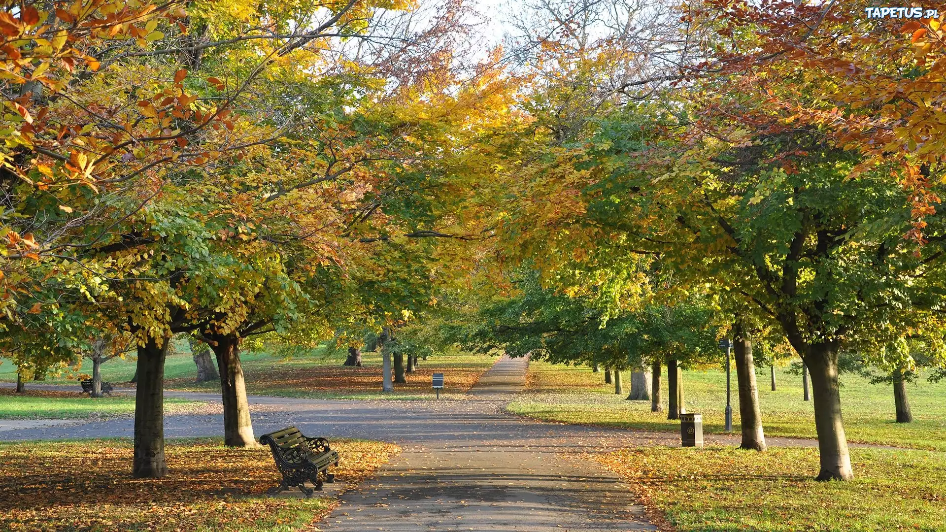 Jesień, Park, Kolorowe, Drzewa, Ławki