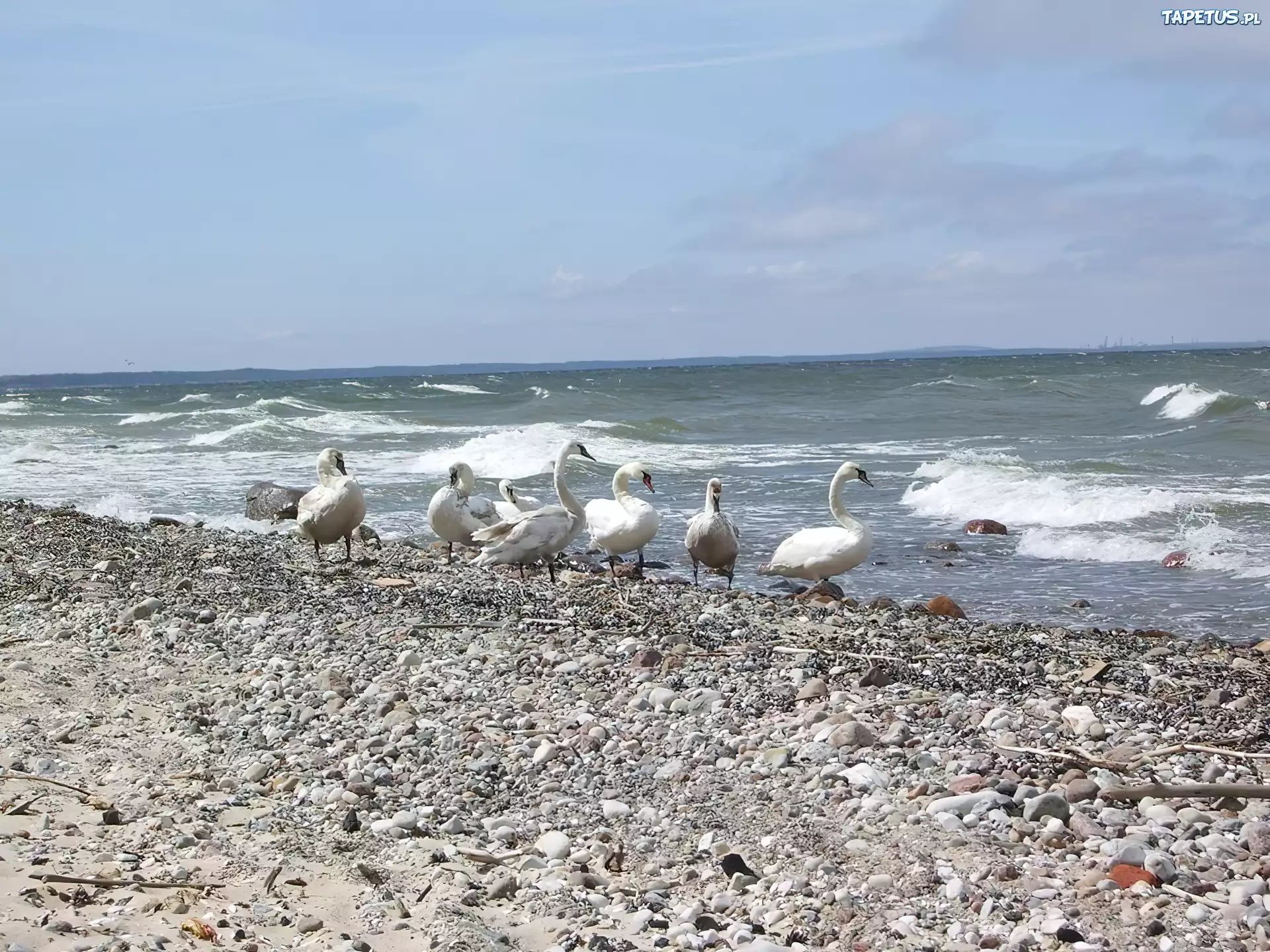 Łabędzie, Plaża, Morze