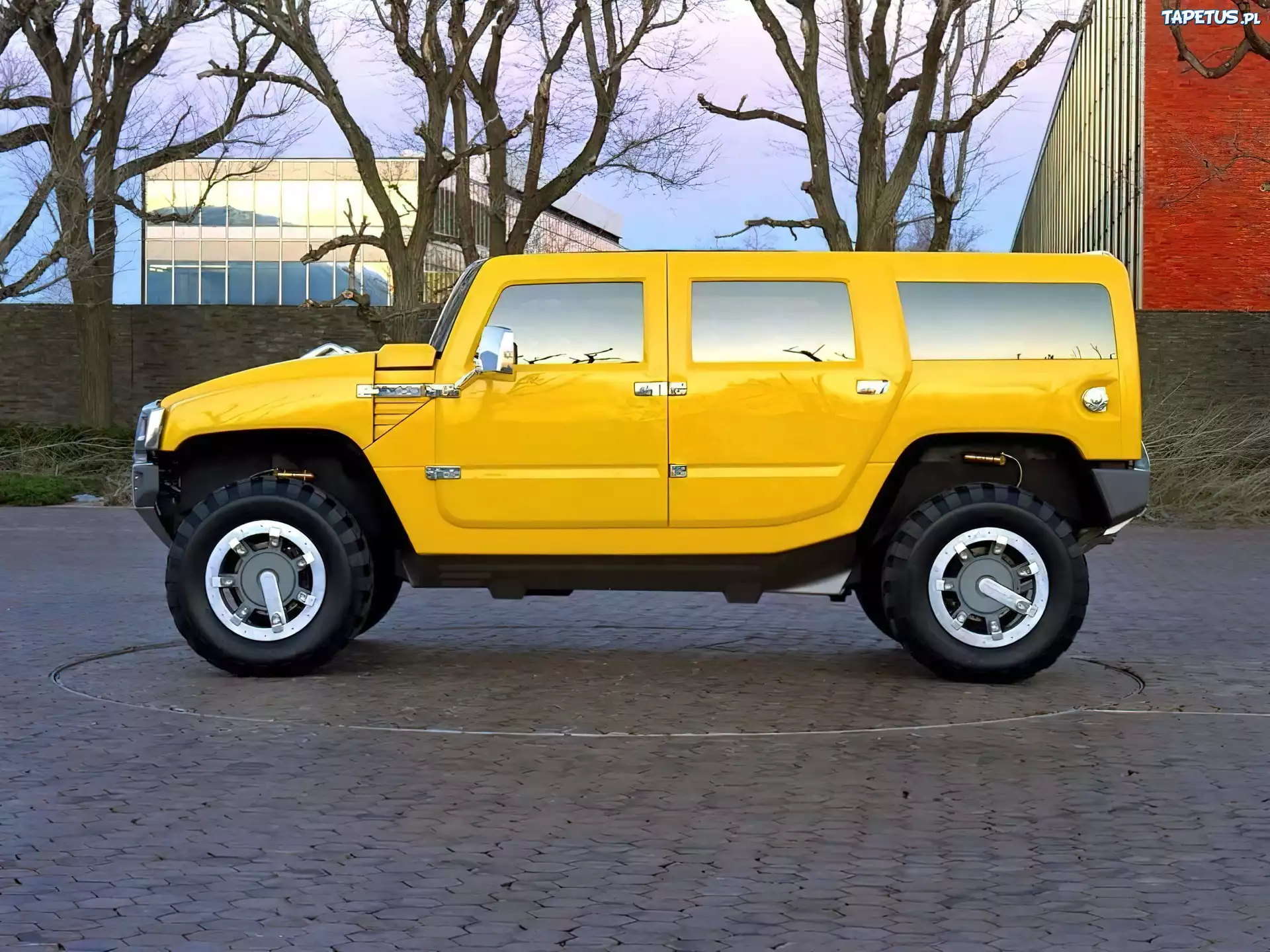 Żółty, Hummer H3