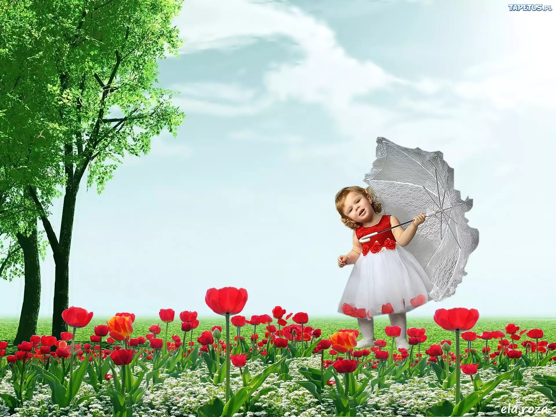Łąka, Tulipany, Dziewczynka, Parasol