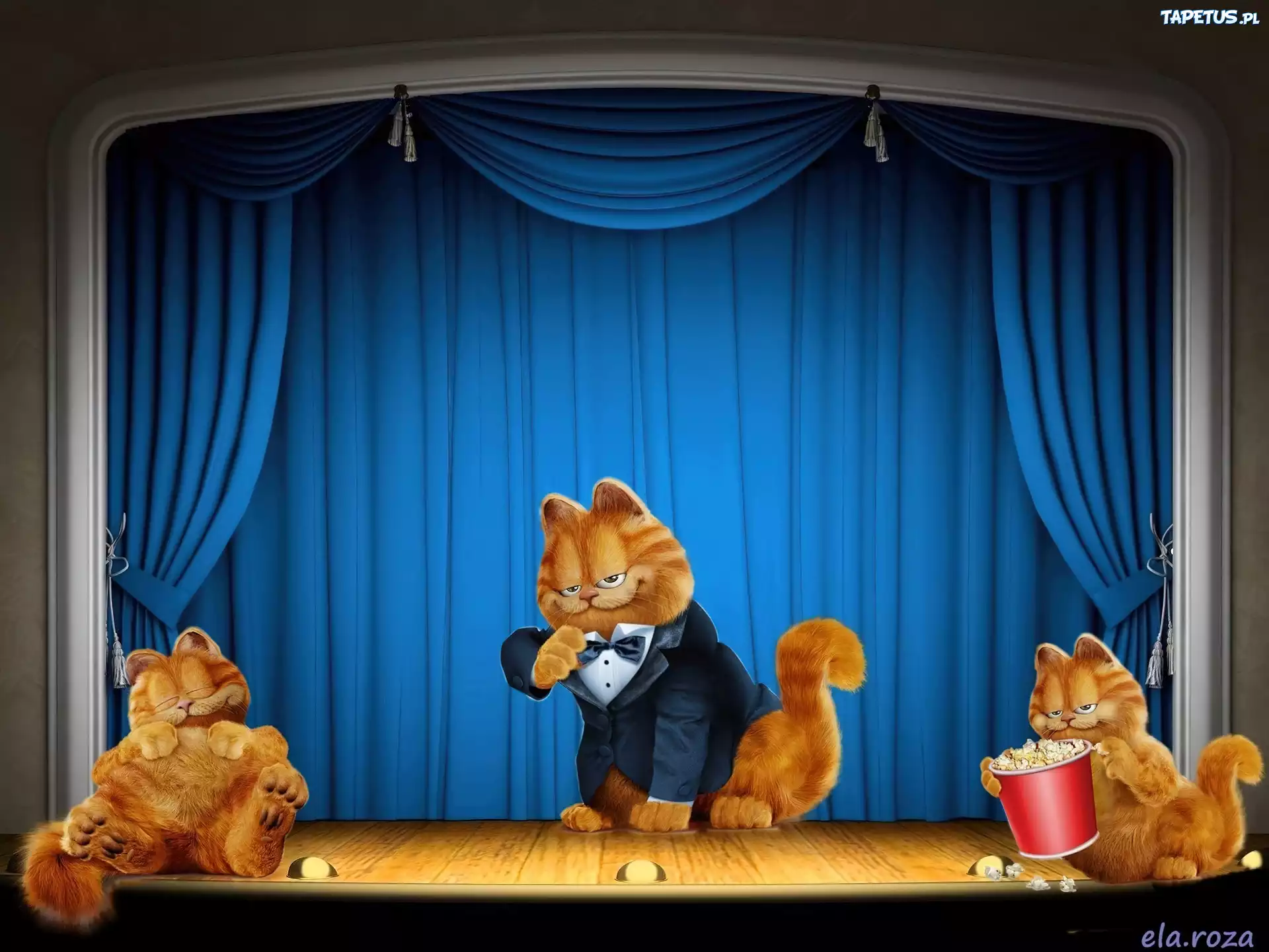 Kot, Garfield, Postać, Filmowa