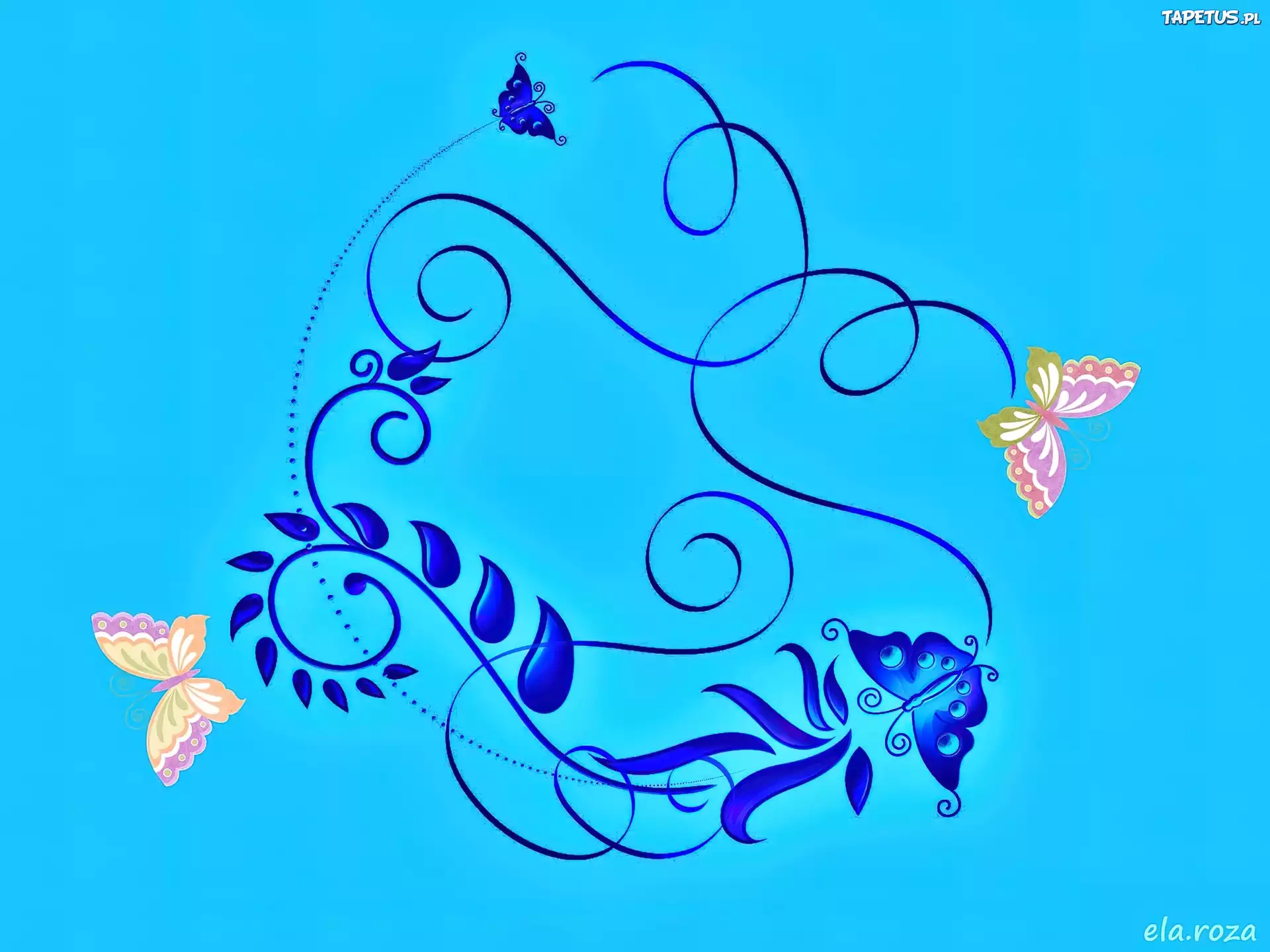 Tekstura, Ornament, Motyle