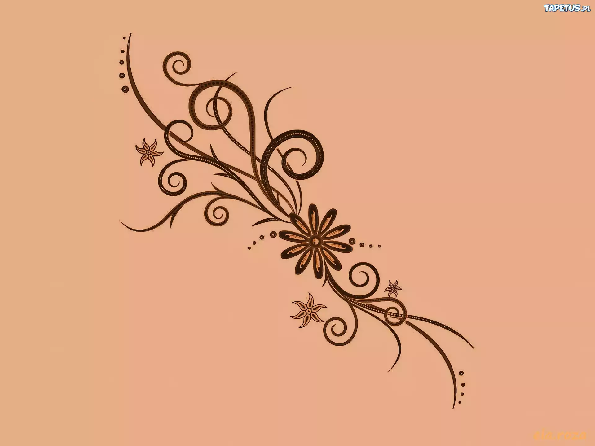 Tekstura, Ornament