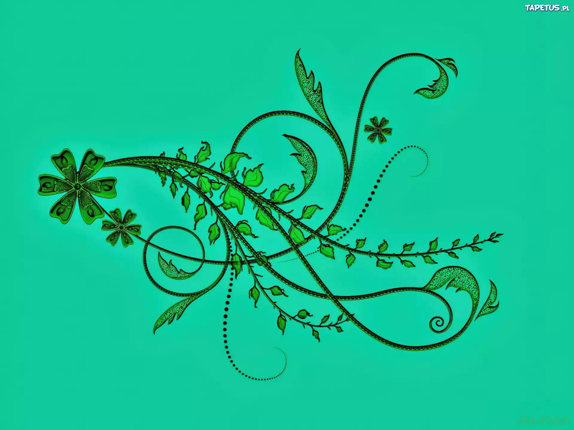Tekstura, Ornament, Zieleń