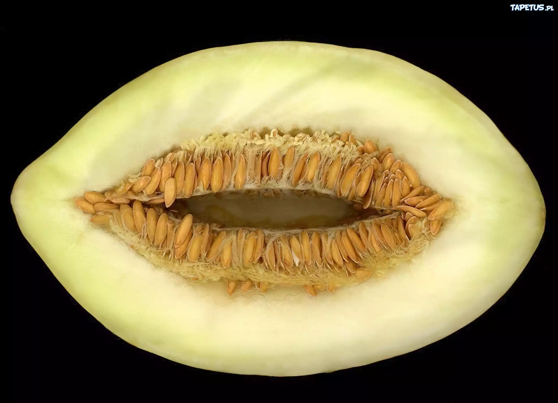 Przekrojony, Melon
