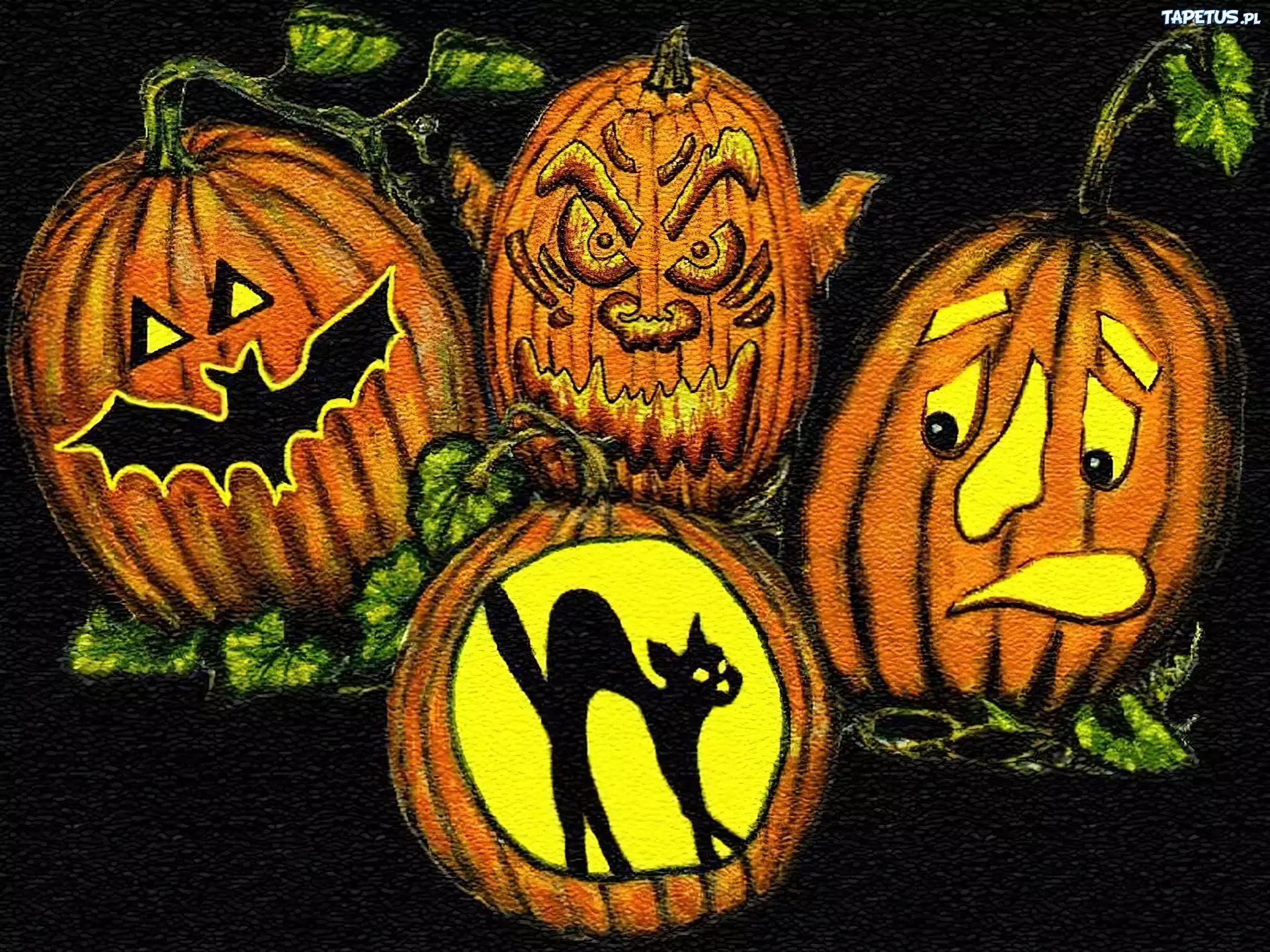 Halloween,dynie