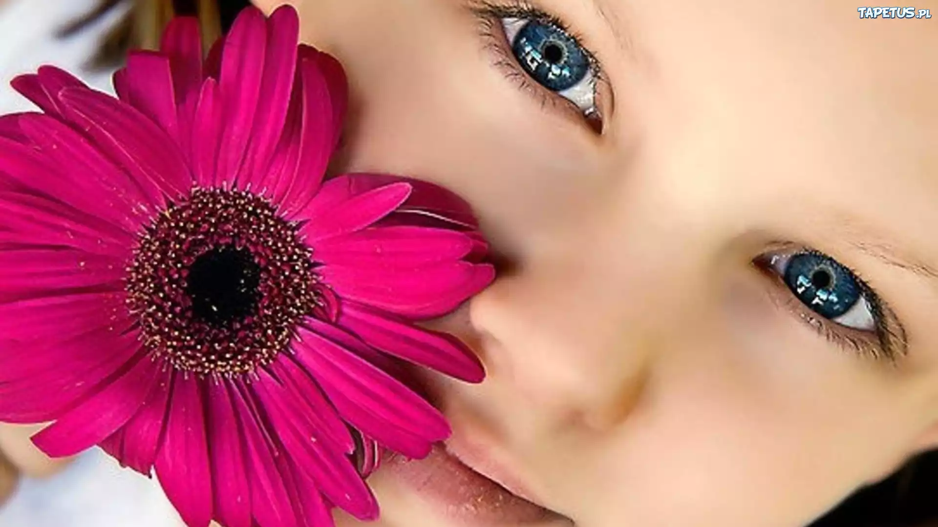 Dziewczynka, Kwiat, Gerbera