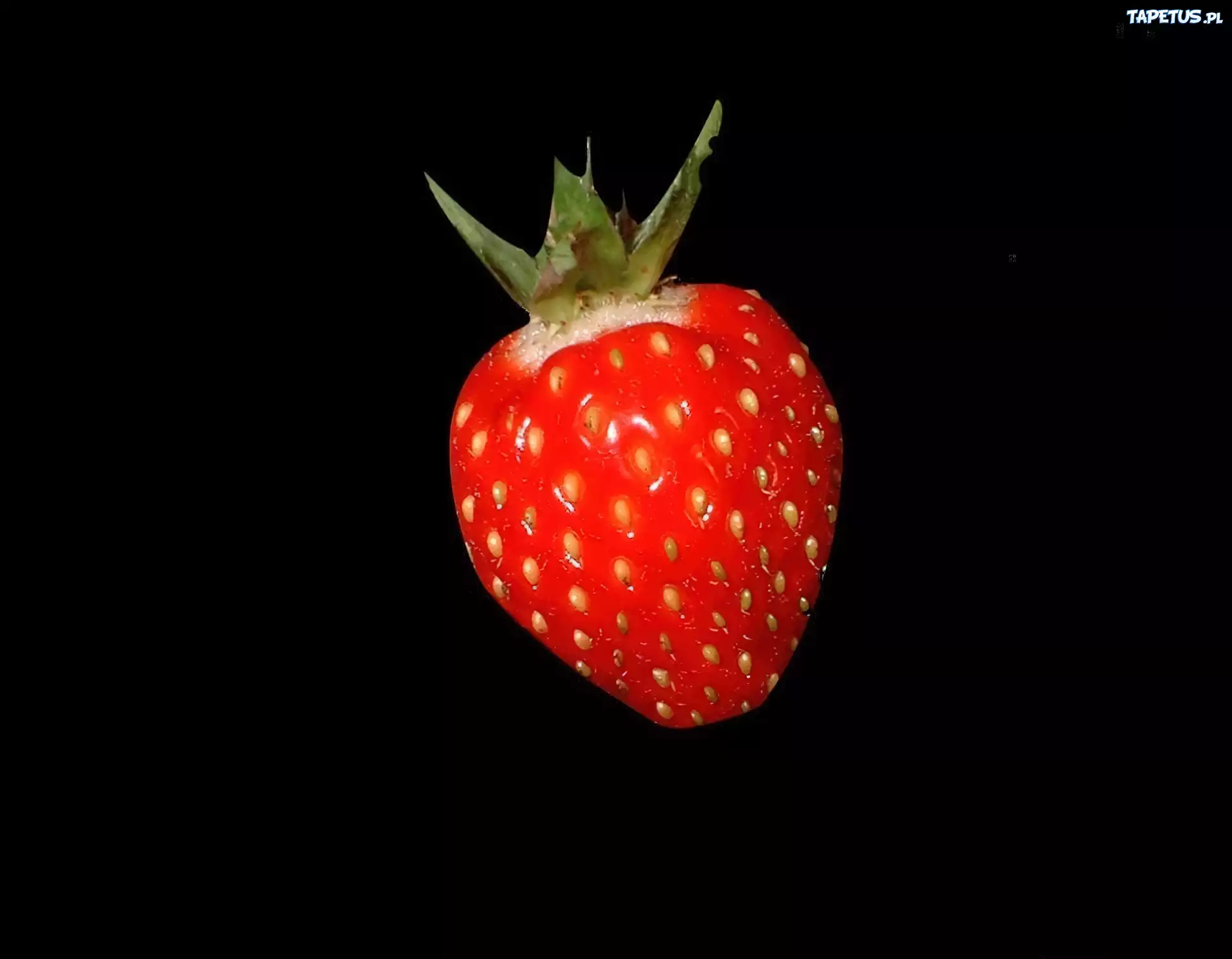Mała, Truskaweczka