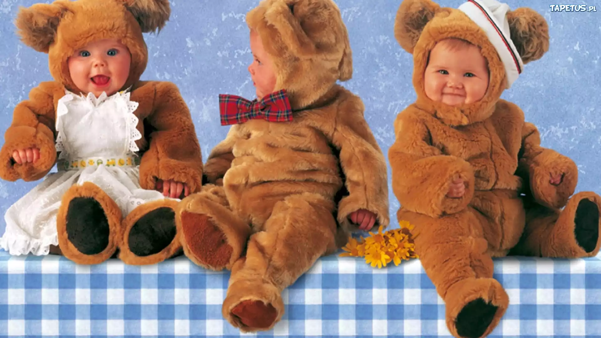 Trzy, Małe, Misie, Anne Geddes