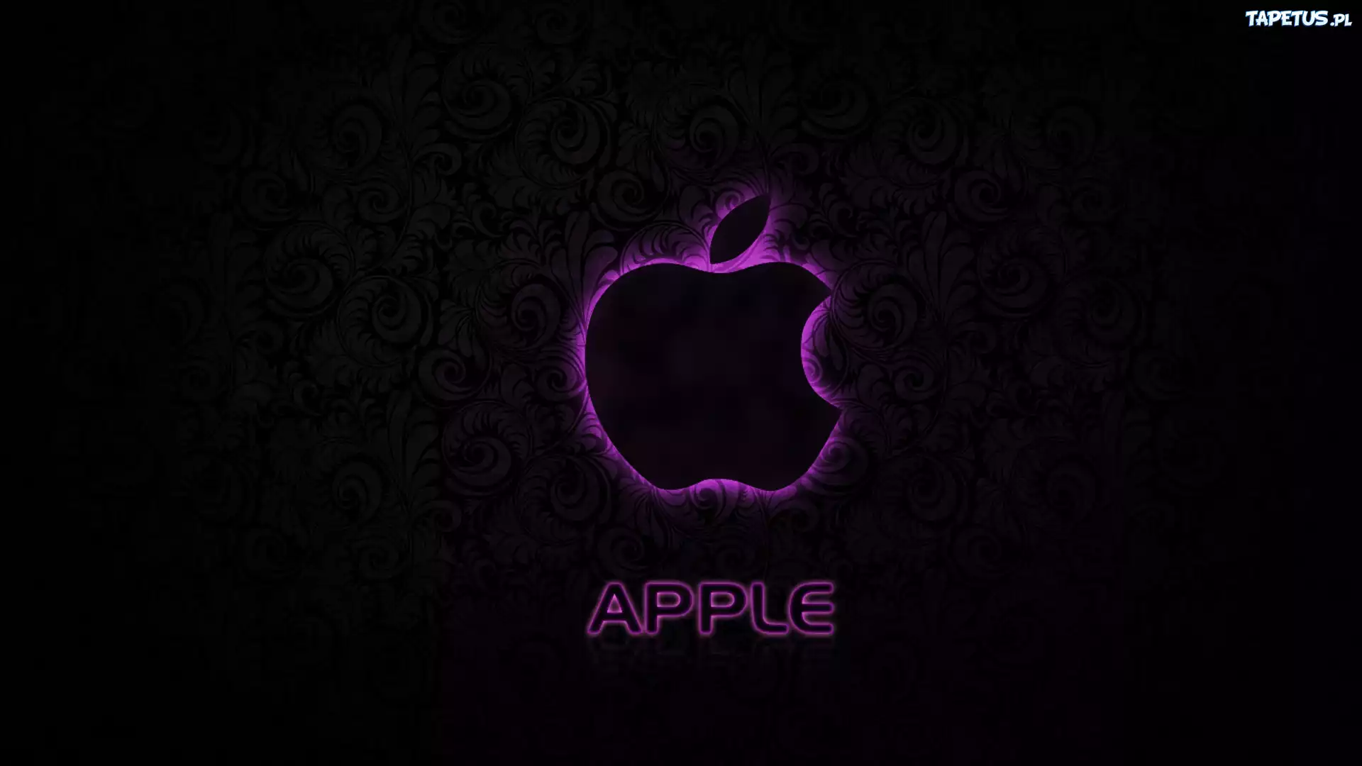 Fioletowy, Zarys, Apple, Czarne, Tło