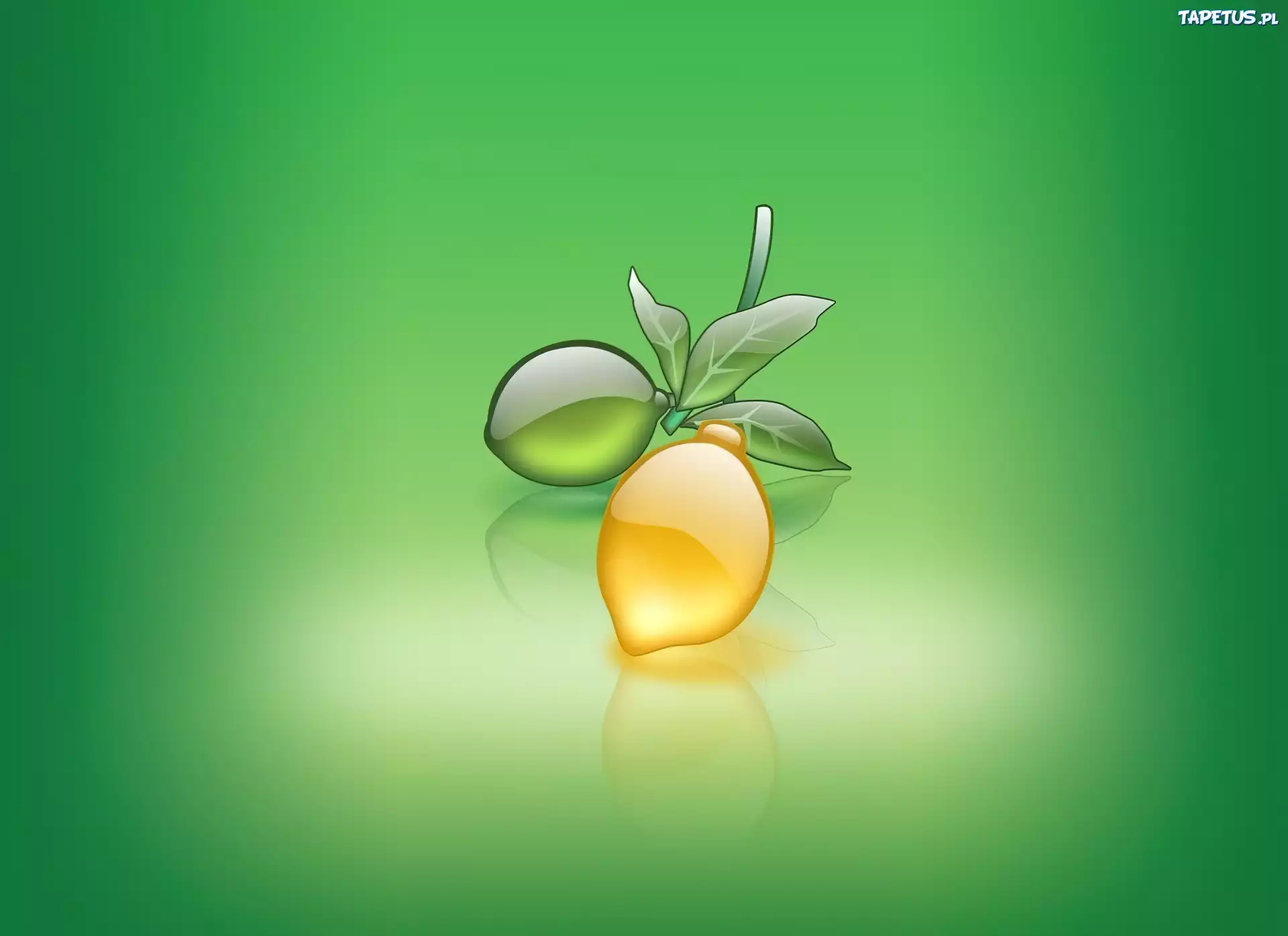 Cytryna, Limonka, Zielone, Tło, Grafika