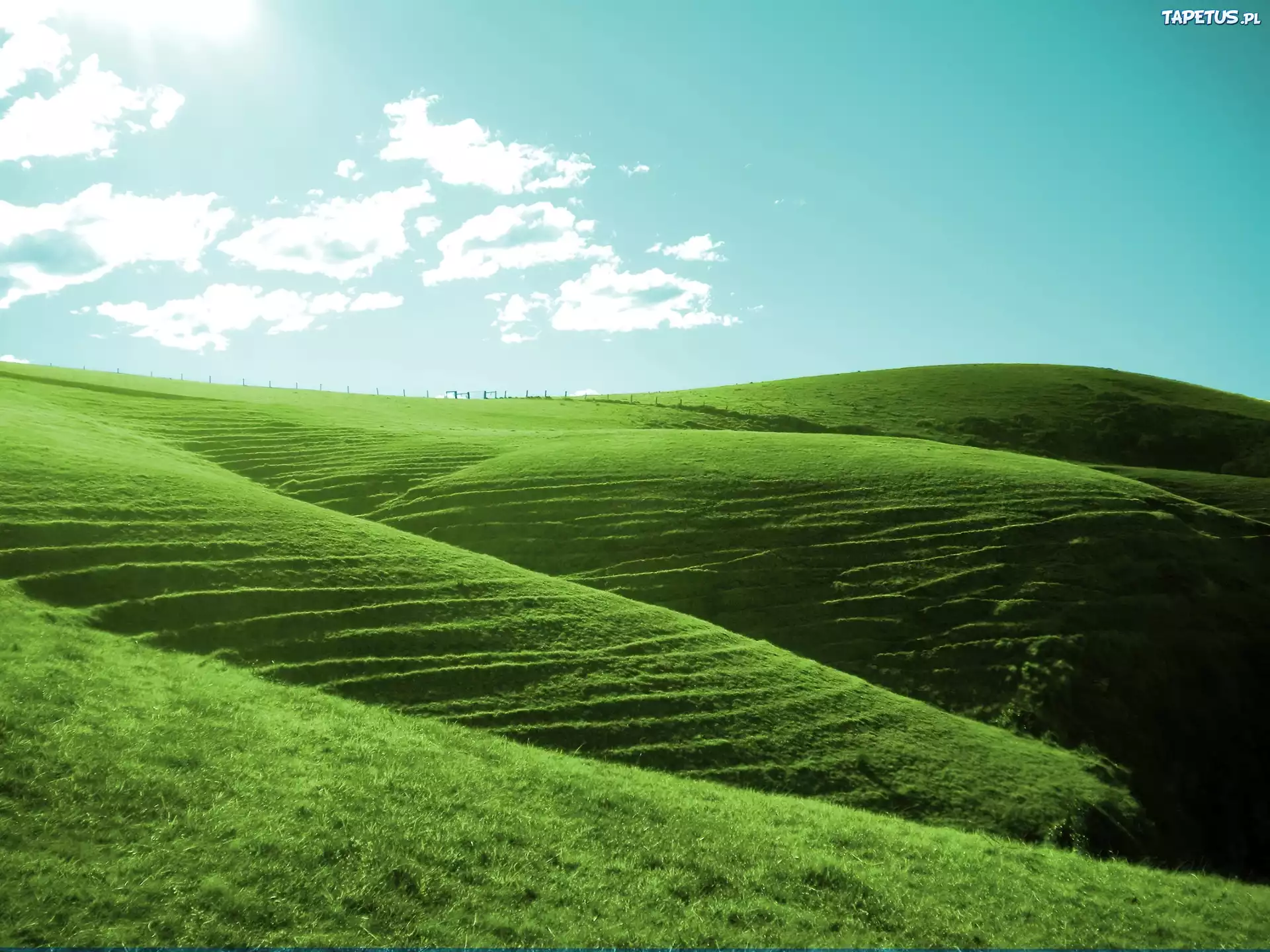 Какие есть холмы. Green Hills зеленые холмы. Зеленые холмы 212525. Зеленый склон. Холм с травой.
