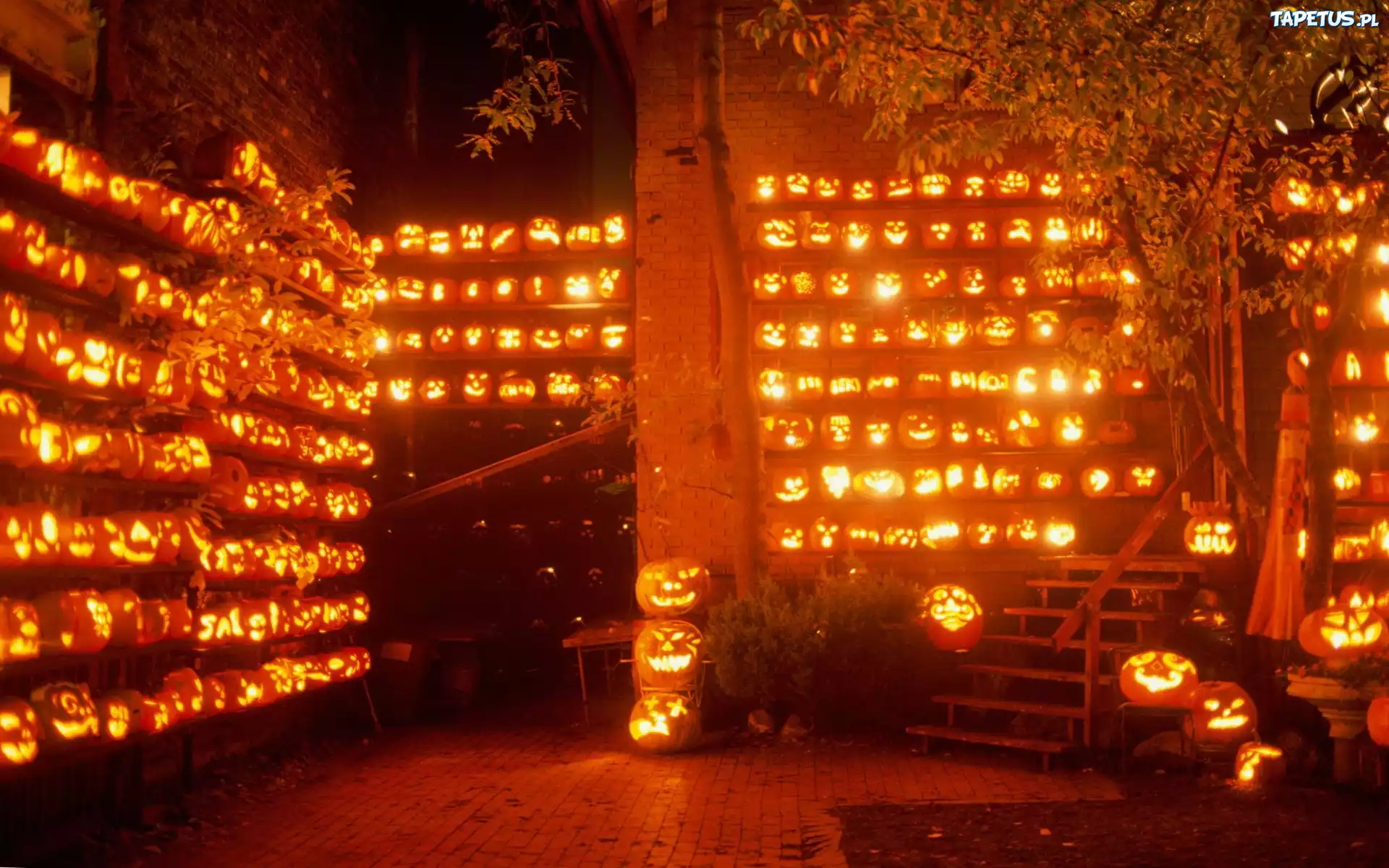 Halloween, Magazyn, Dynie