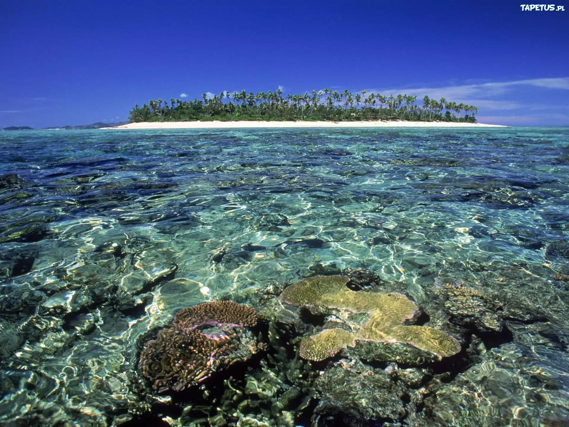 Wyspa, Ocean