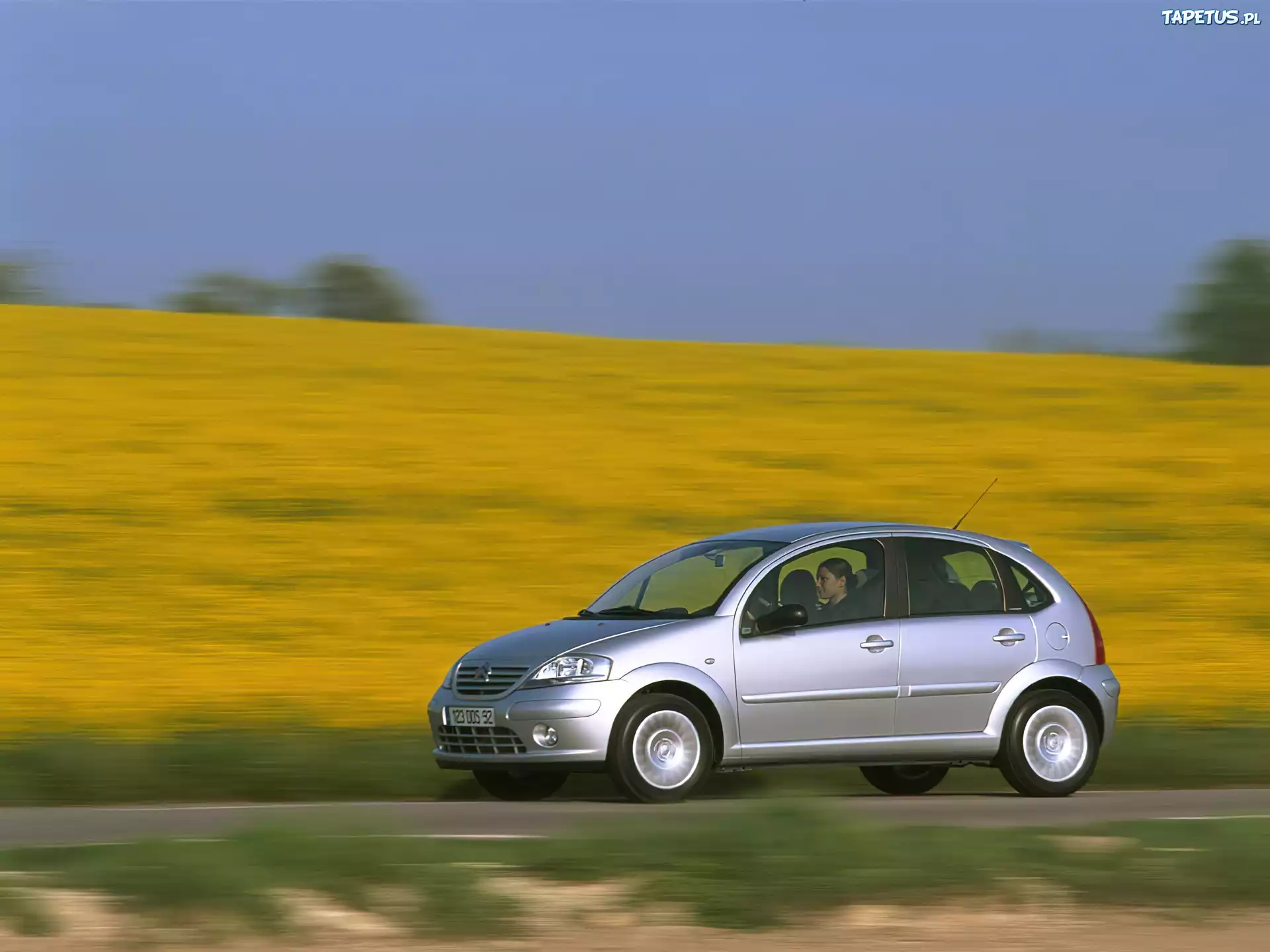Citroen C3, Łąka