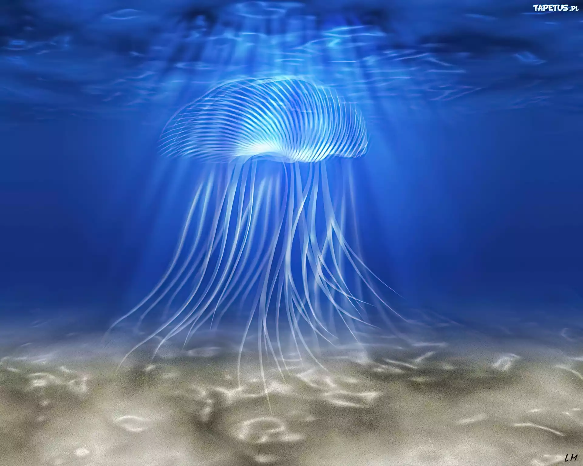 Meduza