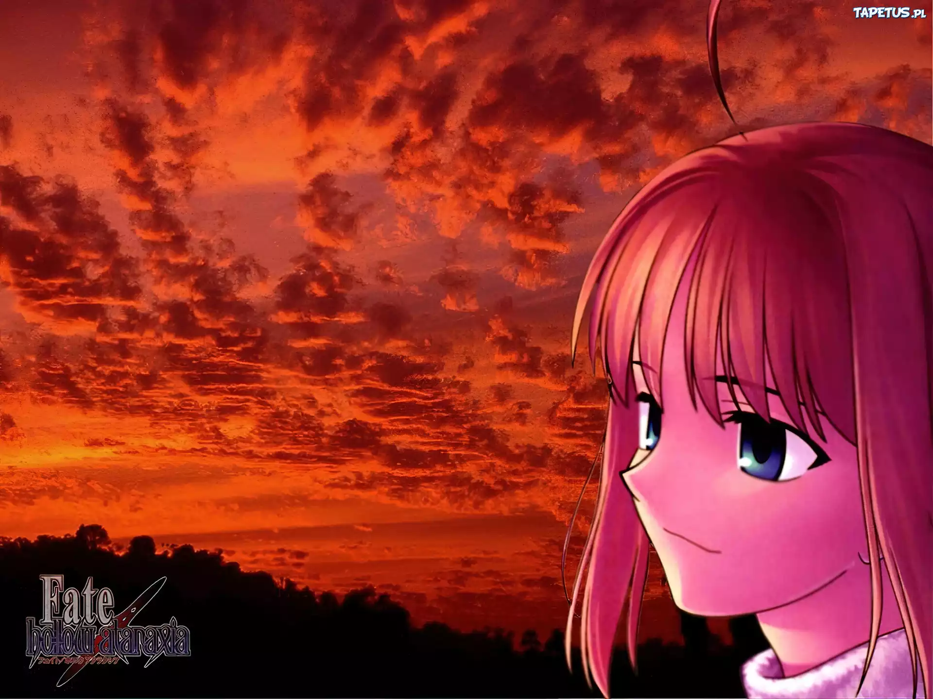 Fate Stay Night, twarz, zachód, logo, napisy
