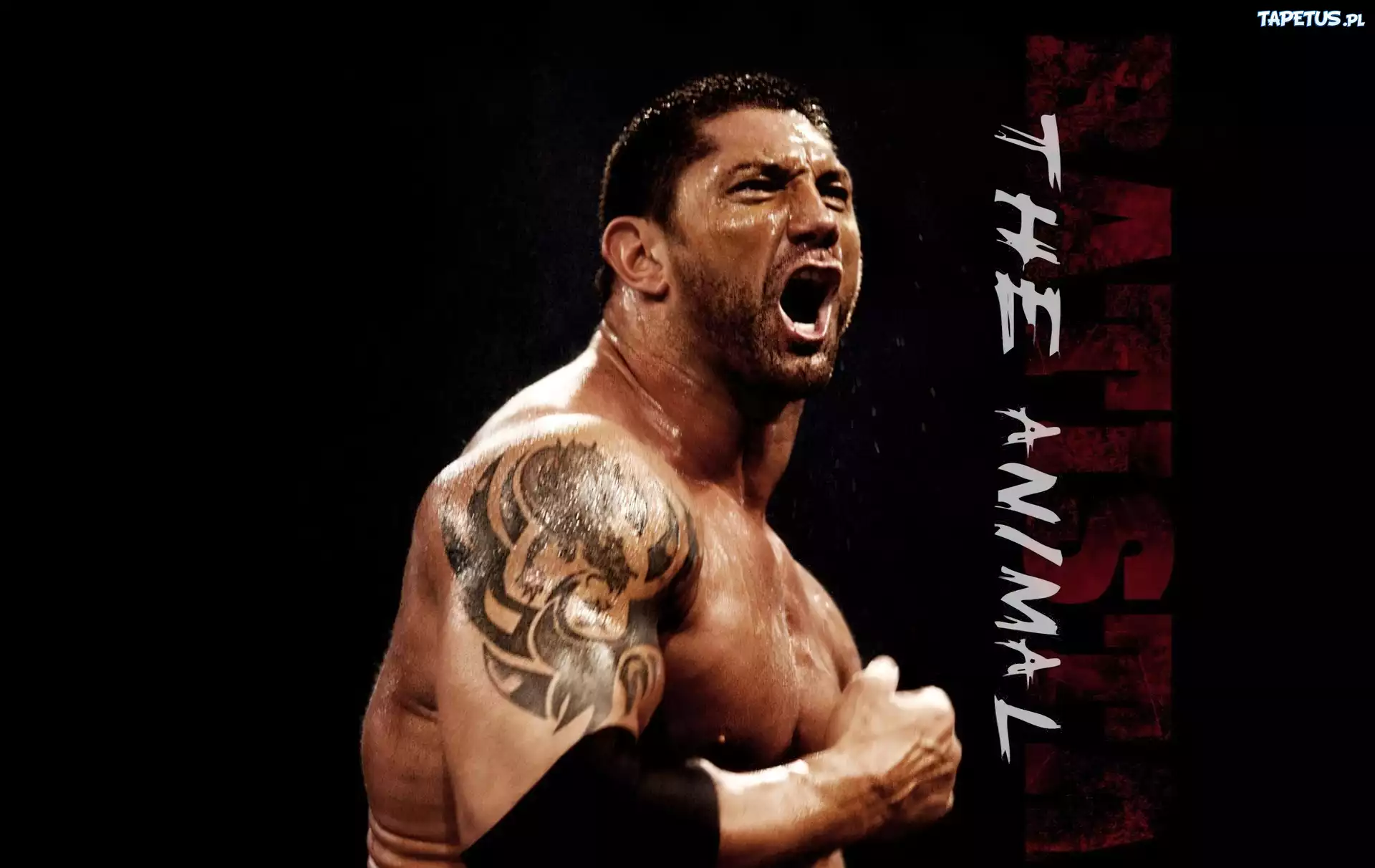 Dave Batista, Okrzyk