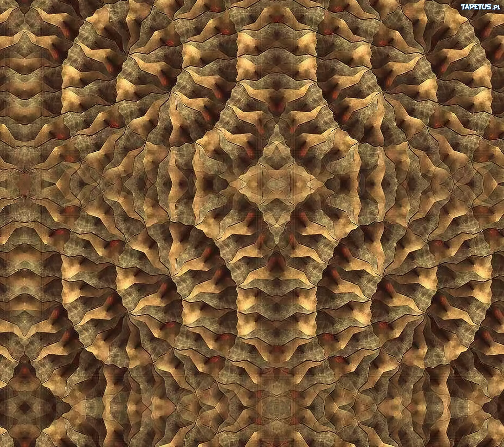 Spirale, Fraktale
