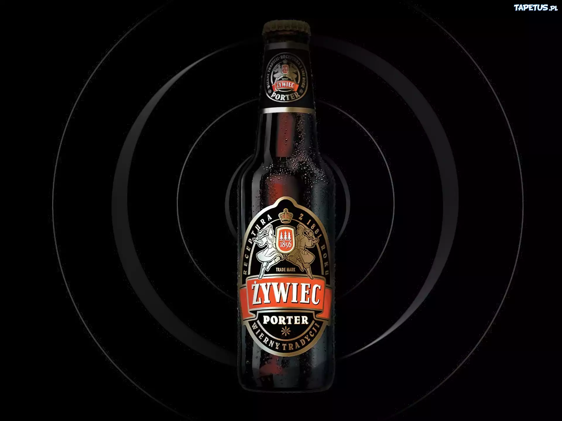 Piwo, Piwo Żywiec, porter