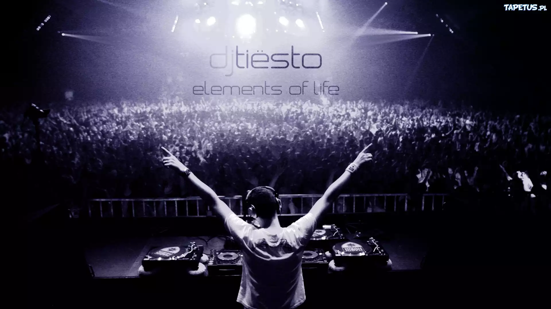 Dj Tiesto, Publika