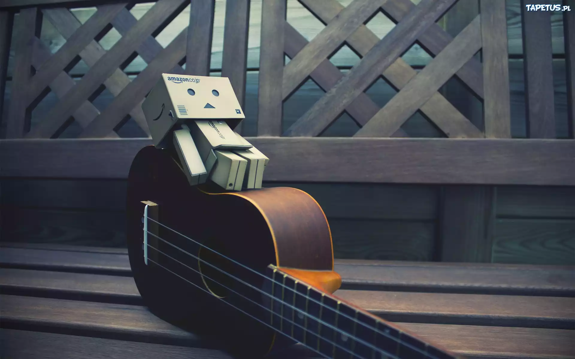 Danbo, Gitara