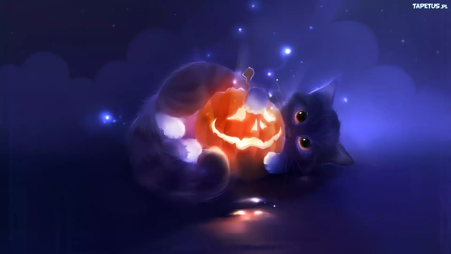 Kot, Dynia, Halloween