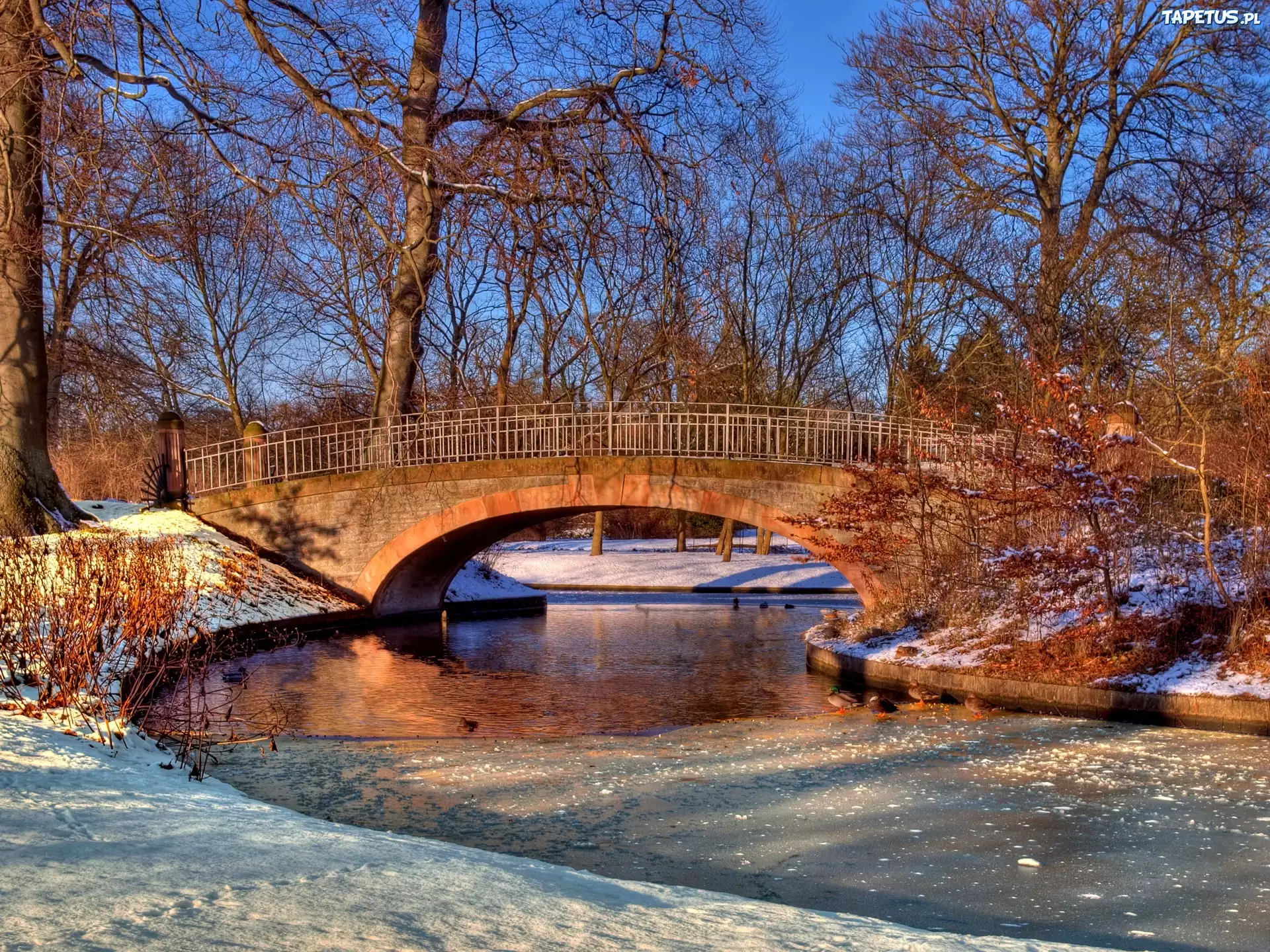 зима мост речка снег winter the bridge river snow бесплатно