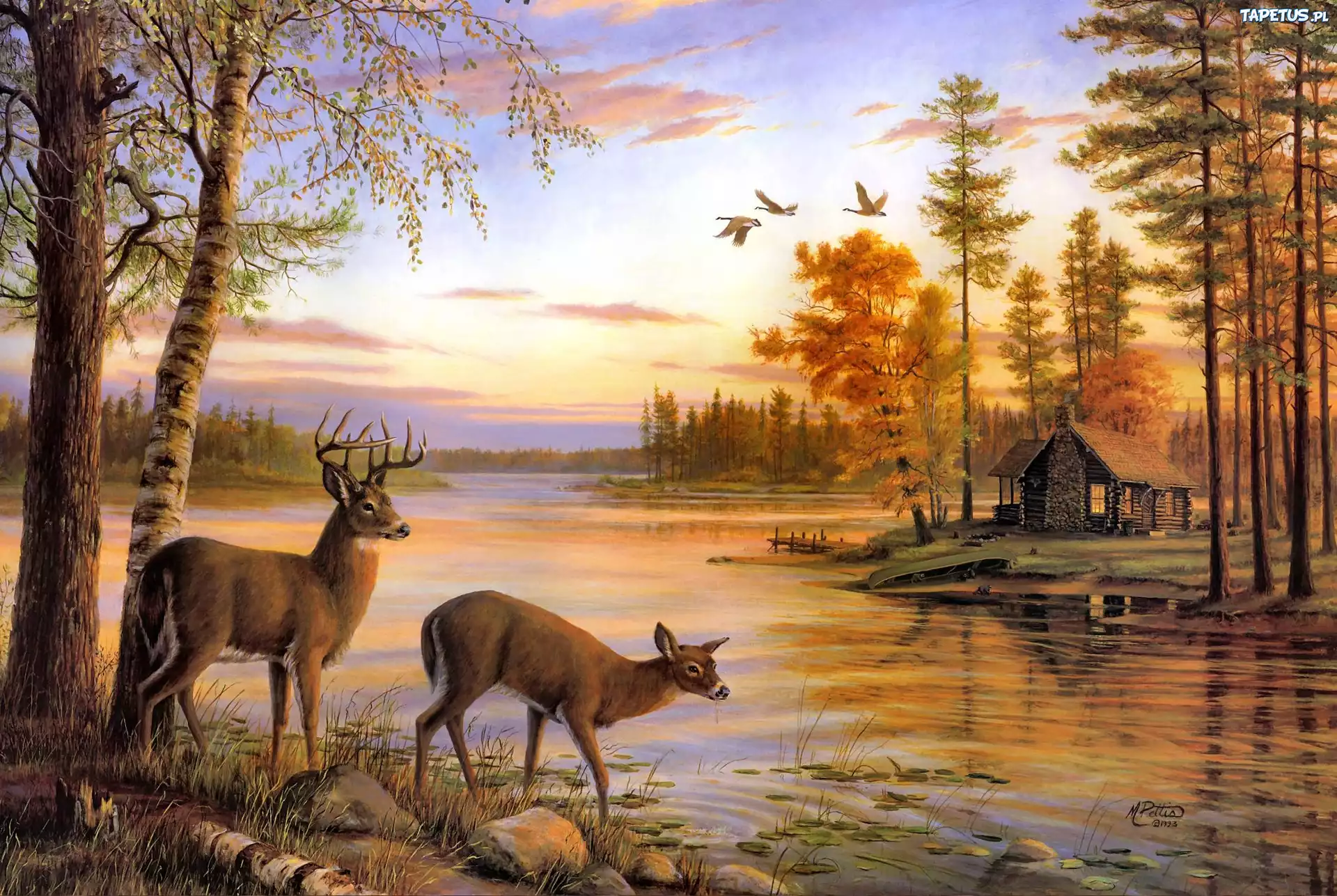 Jeleń, Łania, Woda, Domek, Mary Pettis