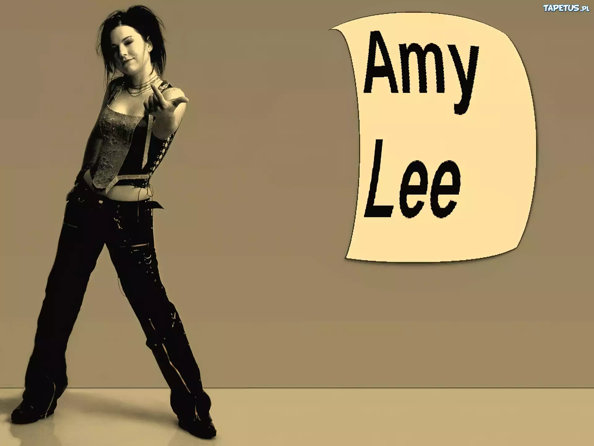 Amy Lee, Wokalistka, Evanescence