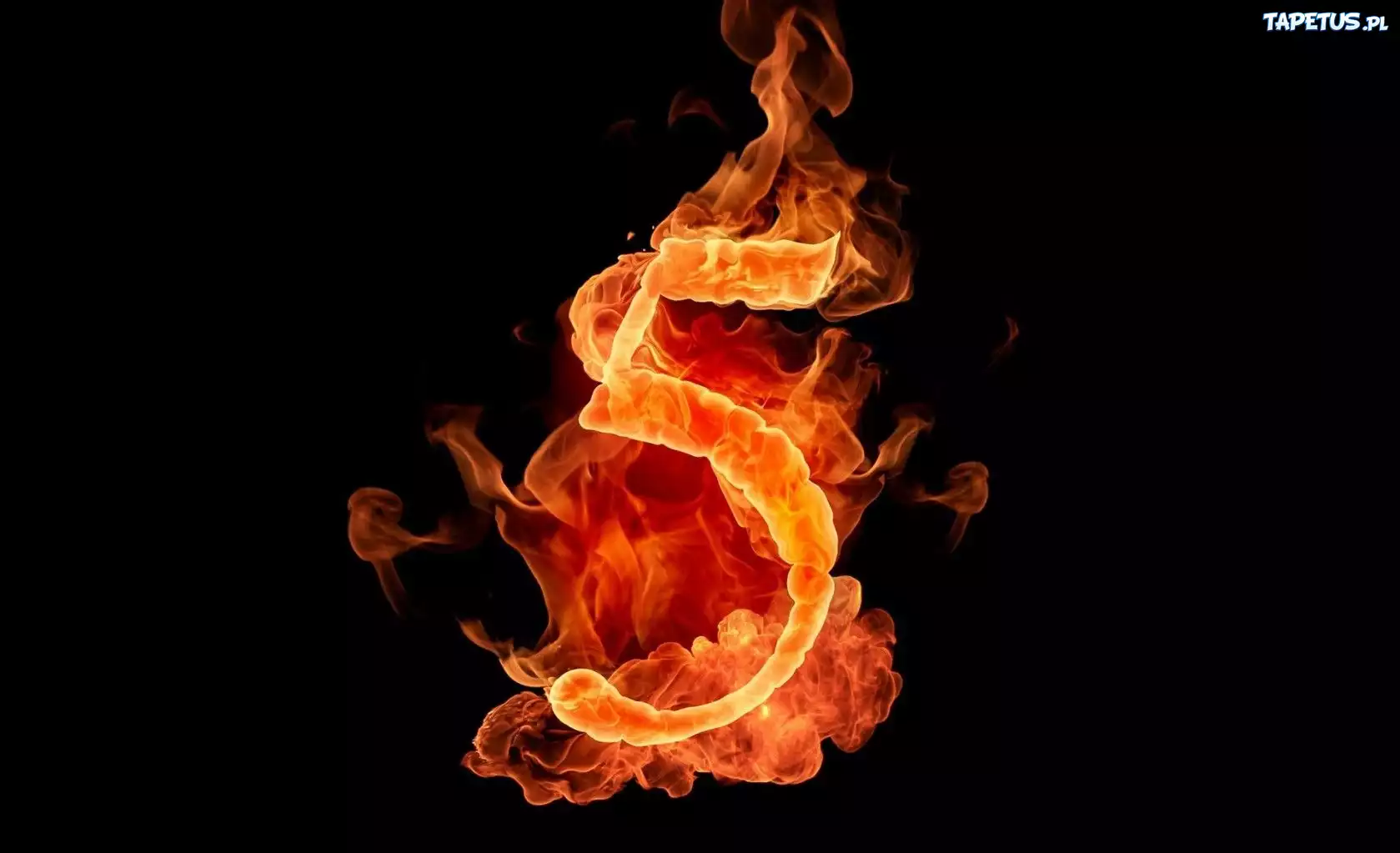 Ognista, Cyfra, 5