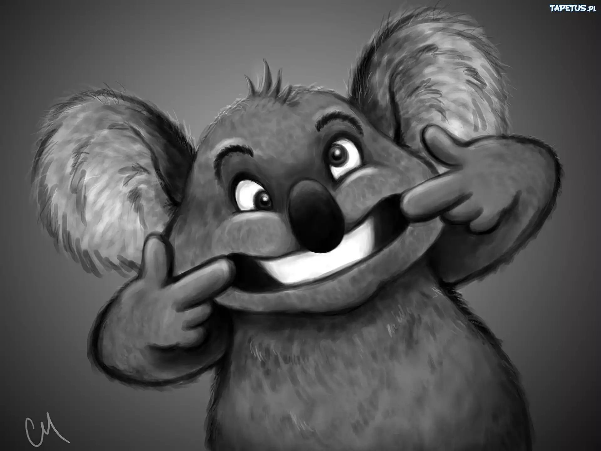 Koala, Łapki