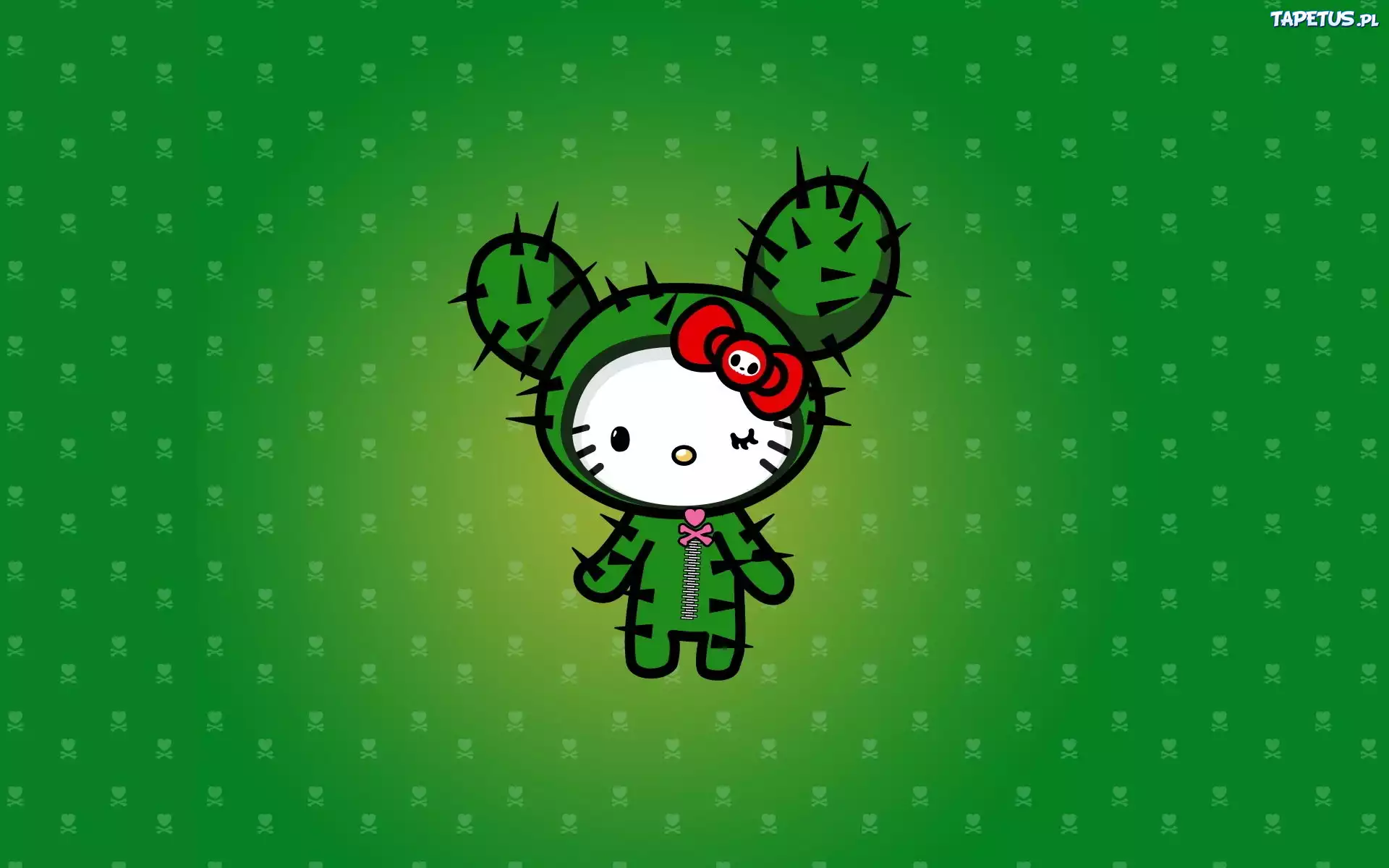 Kaktus, Hello Kitty