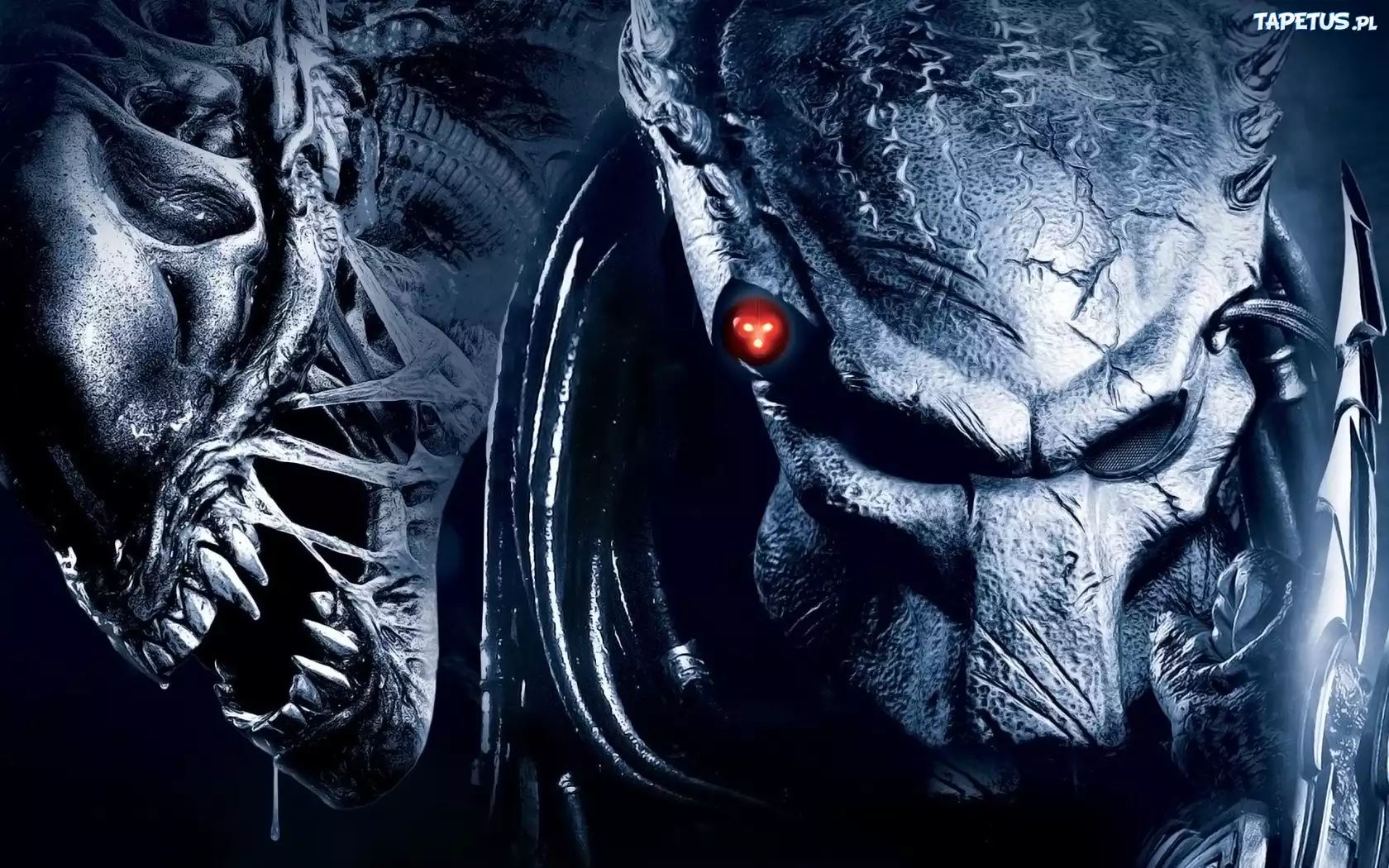 Obcy, Predator
