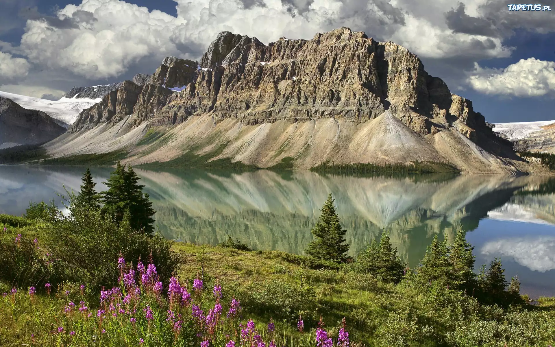 Bow Lake and Flowers, Banff National Park, Alberta, Canada без смс