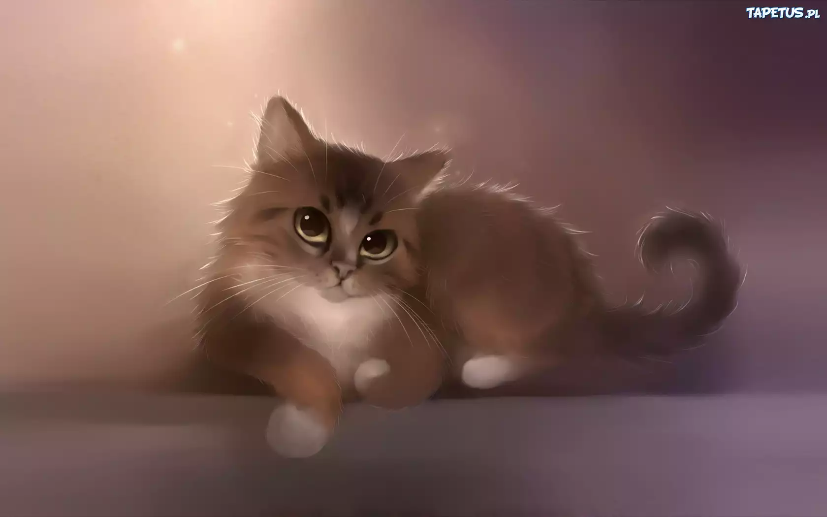 Kot