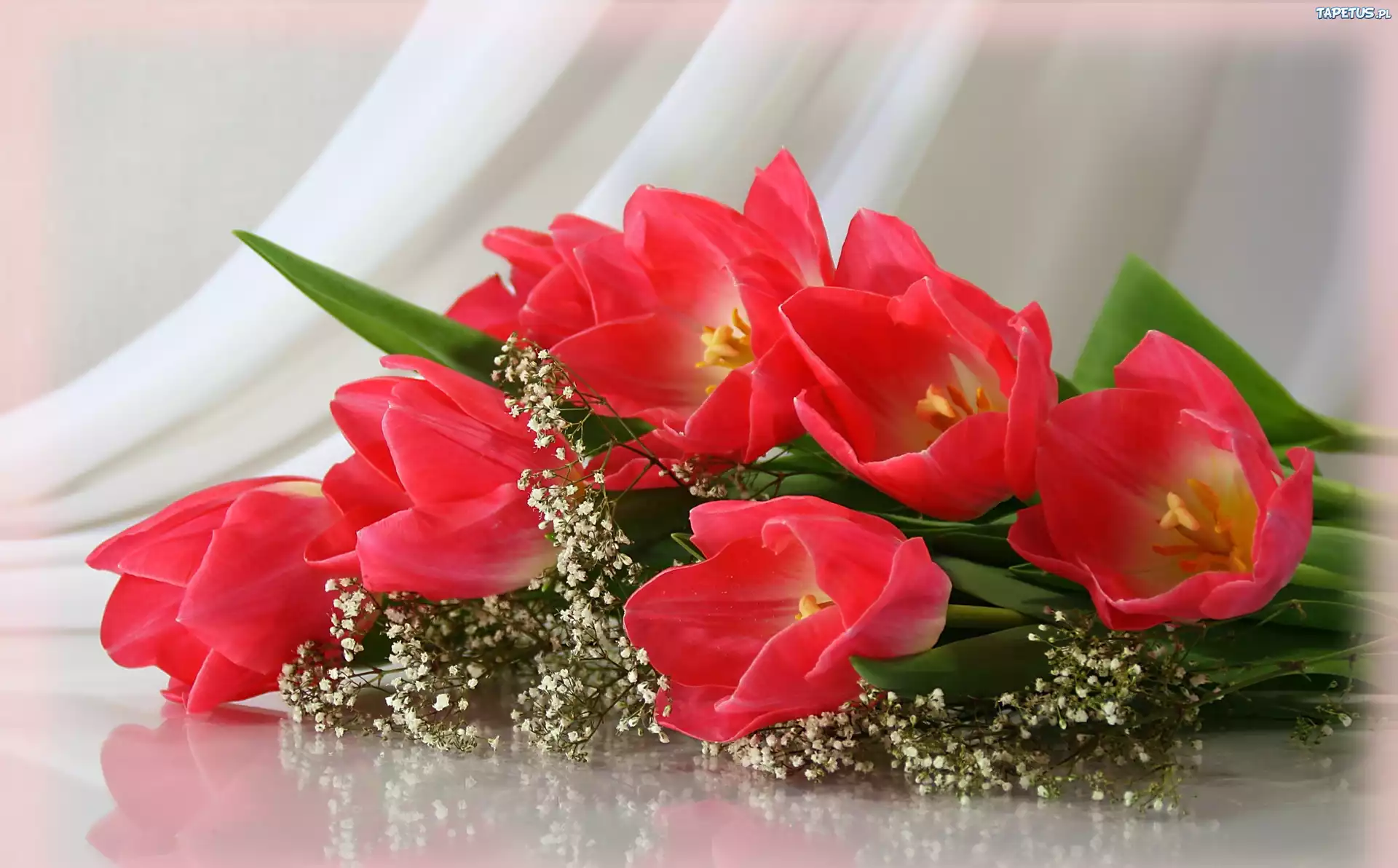 Kwiaty, Czerwone, Tulipany