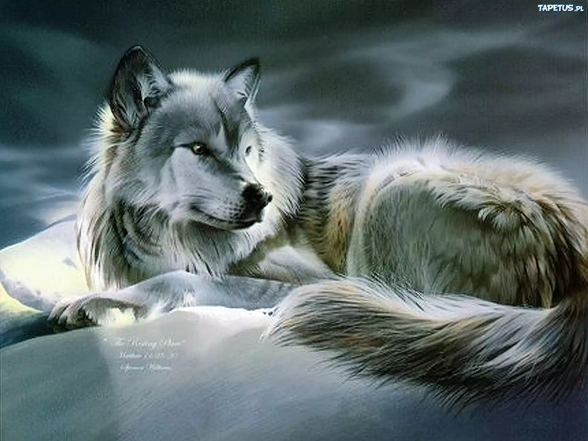 Wilk