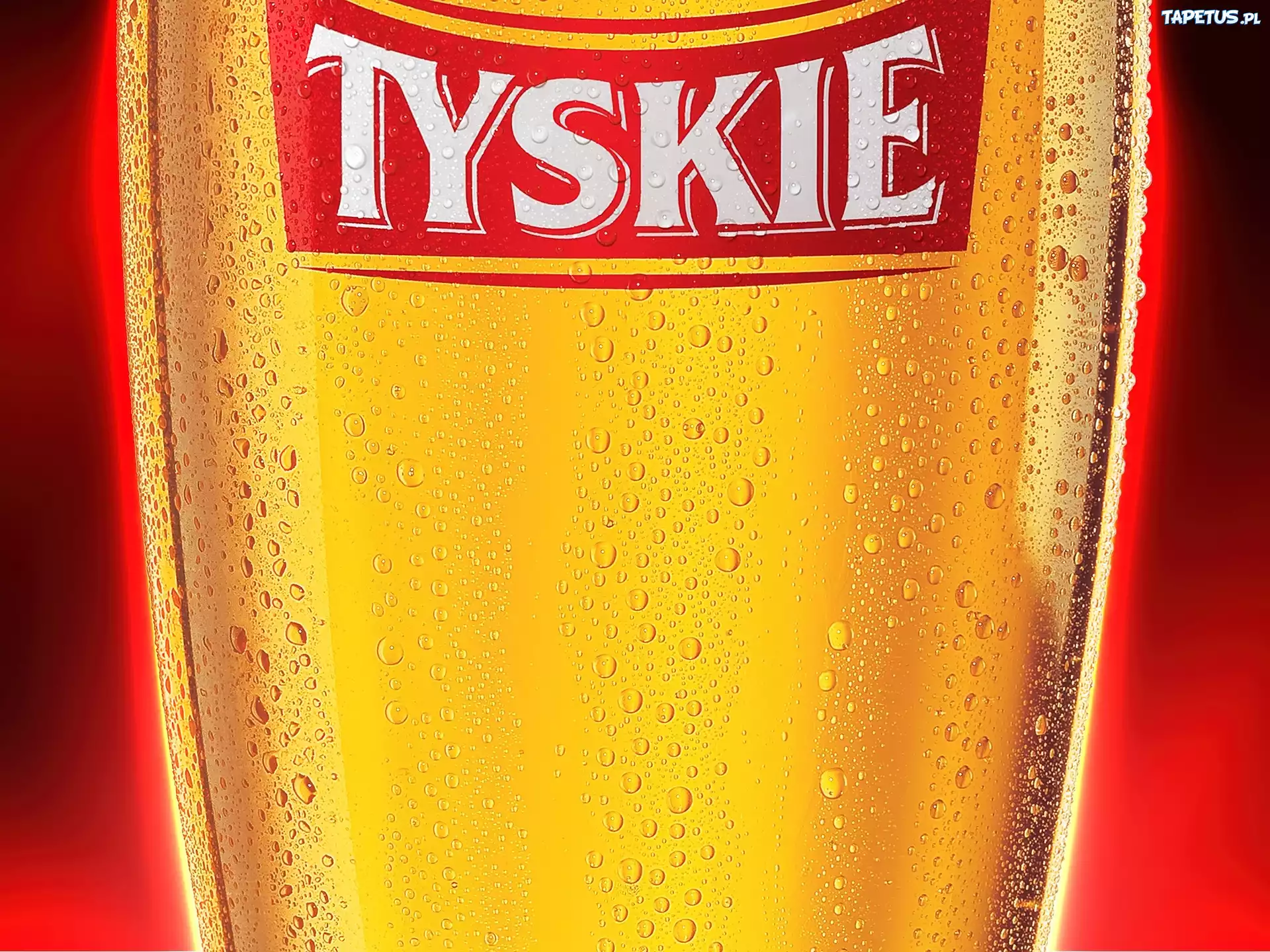 Piwo Tyskie, Pokal