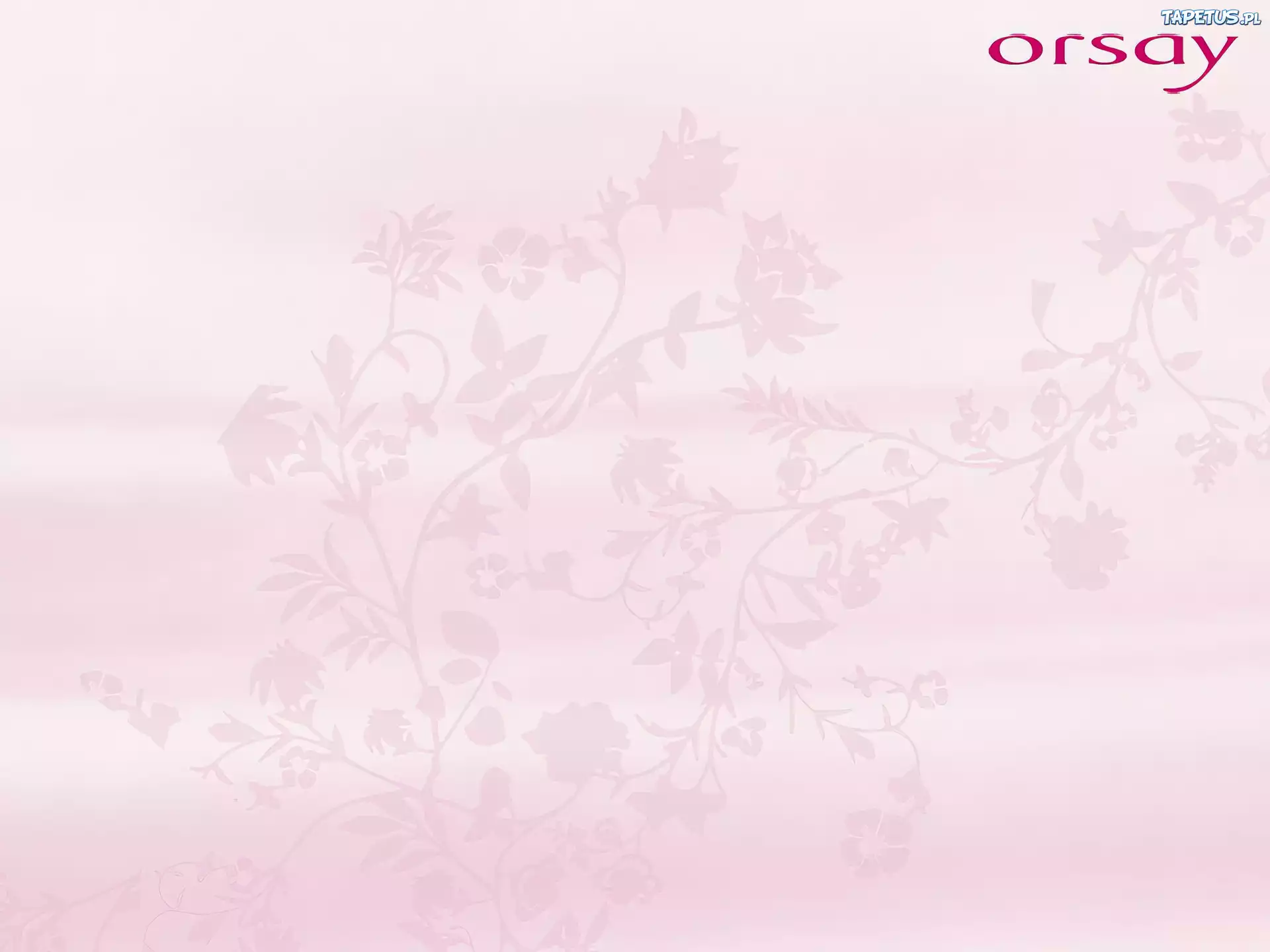 Orsay, grafika, ornament