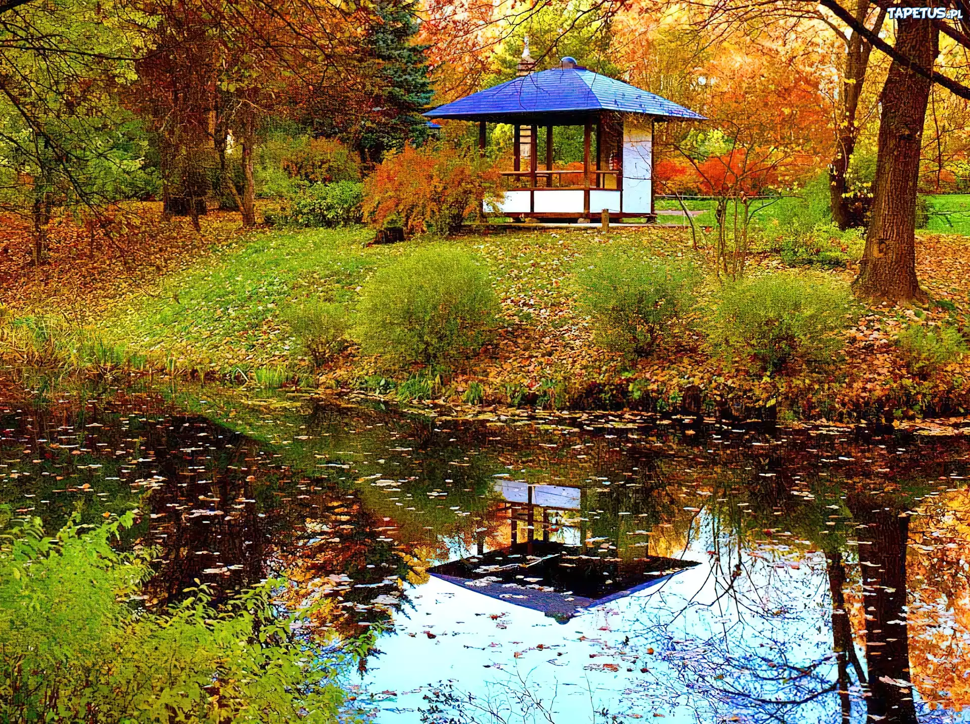 Jesień, Park, Rzeka, Odbicie, Lustrzane