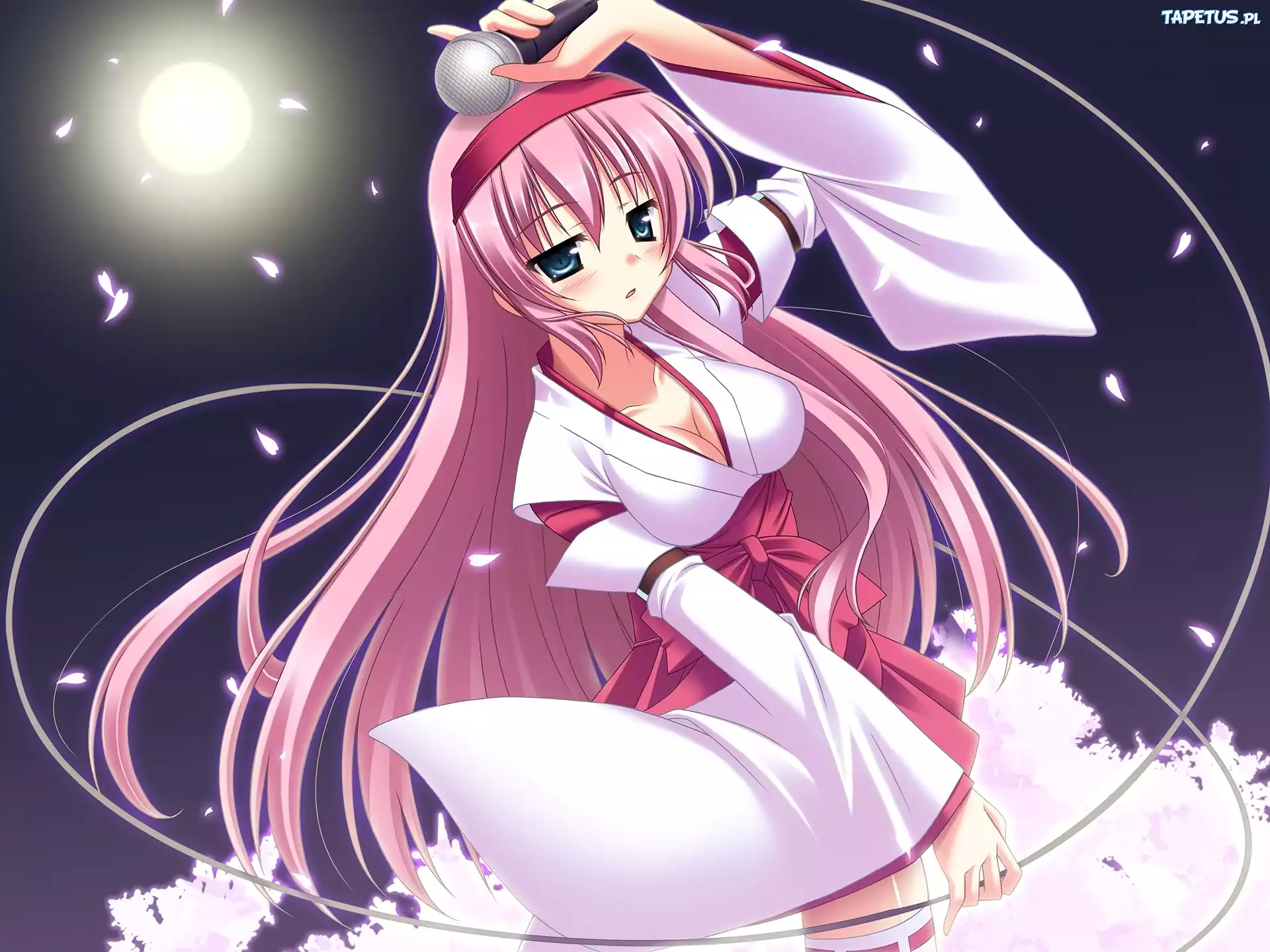 Megurine Luka, Vocaloid
