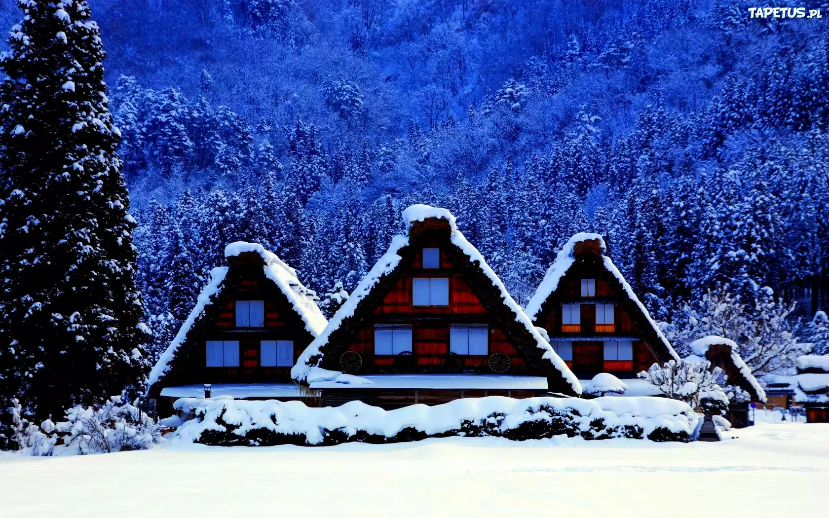 Zima, Las, Śnieg, Domki