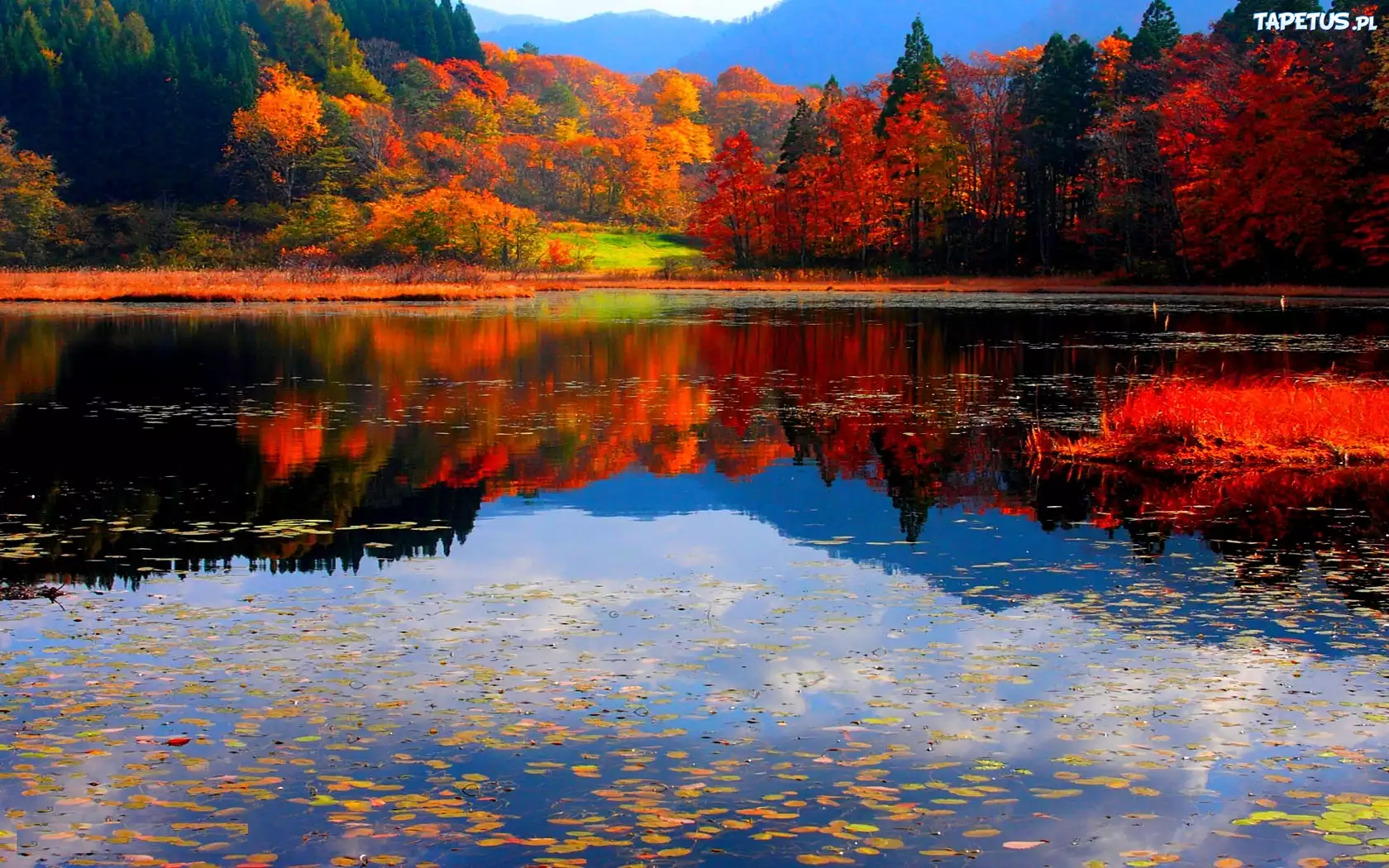 Kolorowe, Drzewa, Jezioro