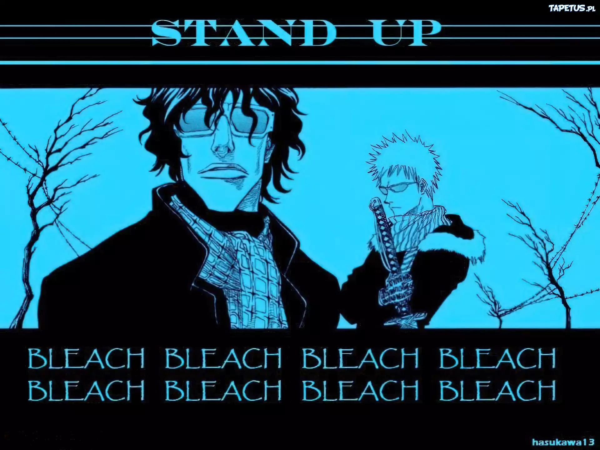 Bleach, stand up, postacie, miecz, napisy